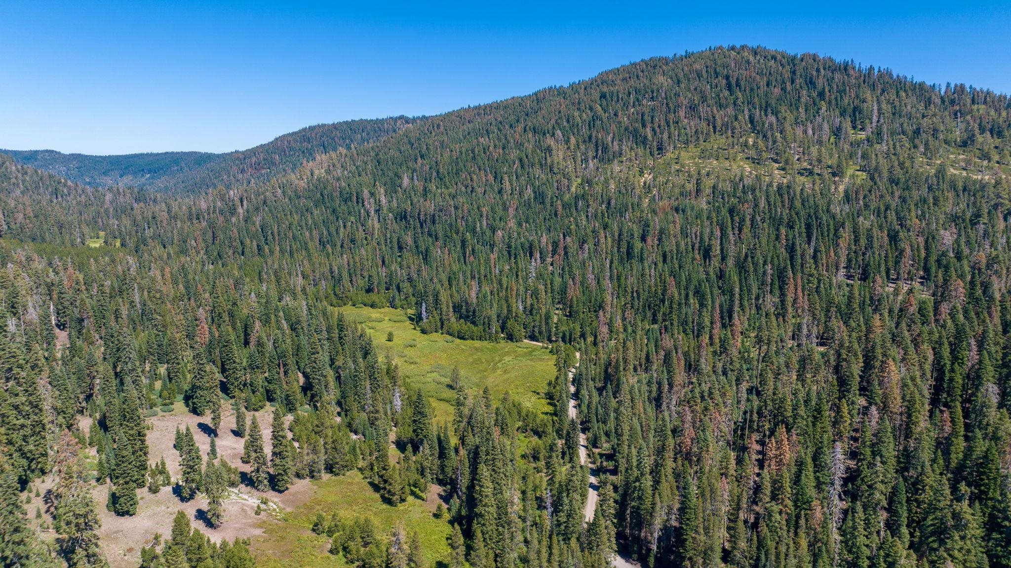 14500 Sloat McRae Road, Johnsville, CA, 96103