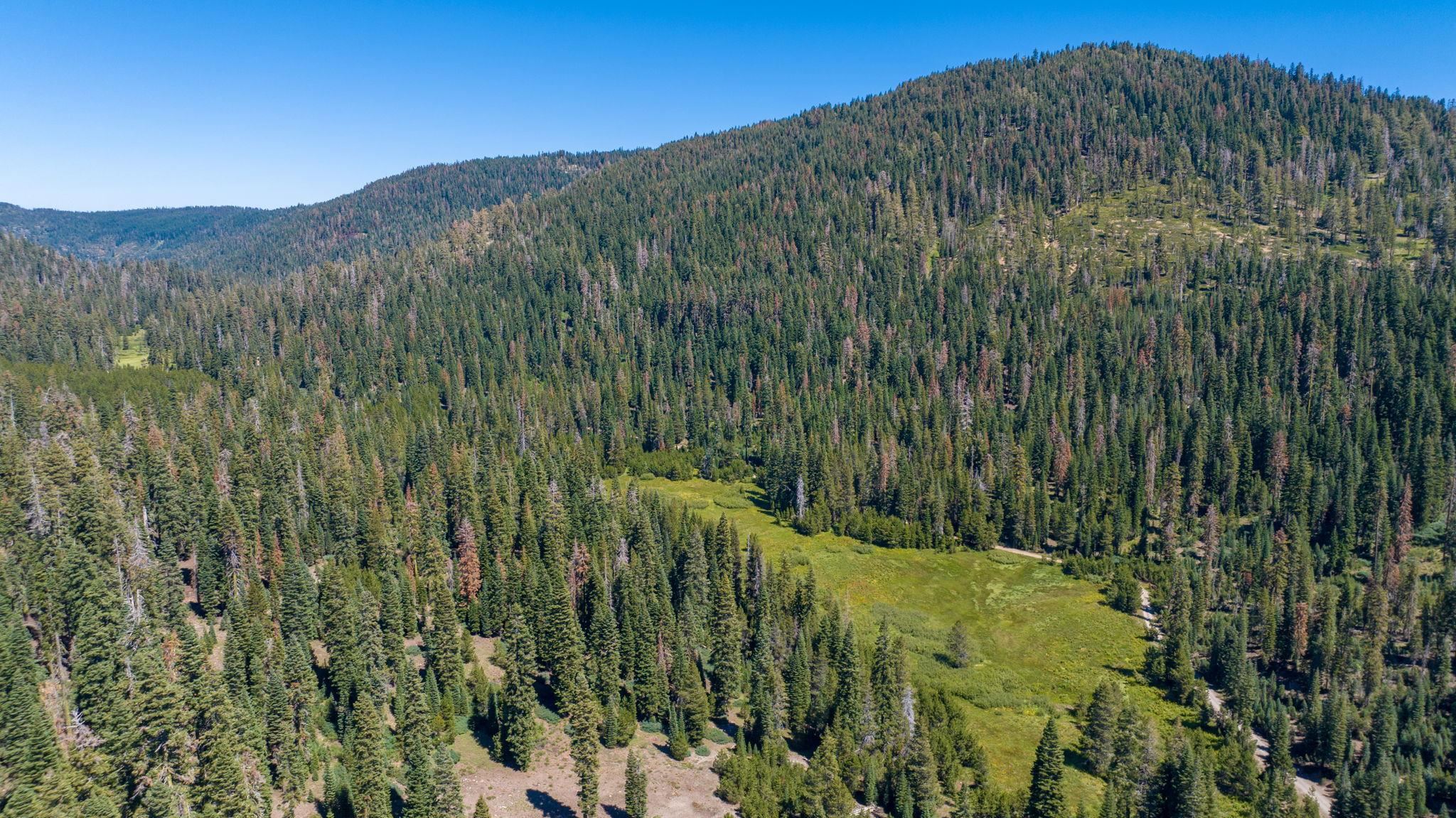 14500 Sloat McRae Road, Johnsville, CA, 96103