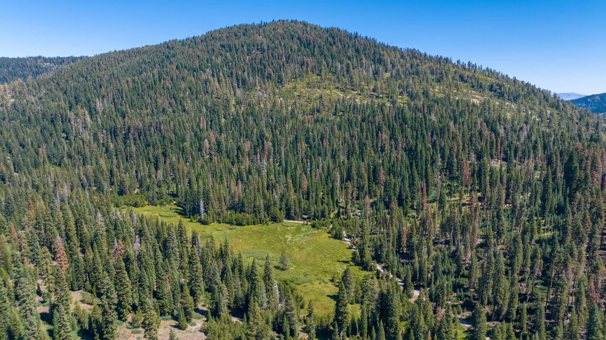 14500 Sloat McRae Road, Johnsville, CA, 96103