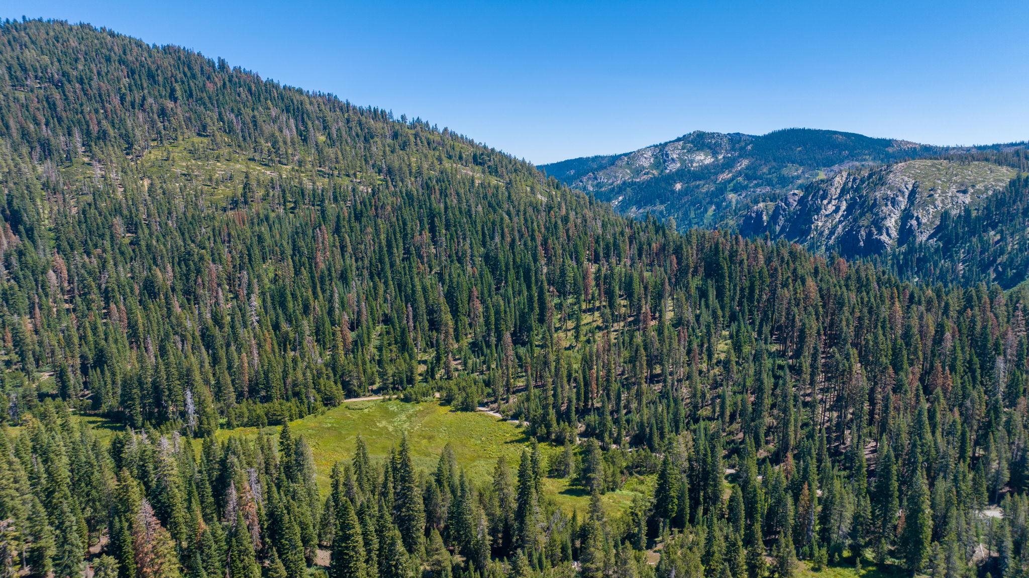 14500 Sloat McRae Road, Johnsville, CA, 96103