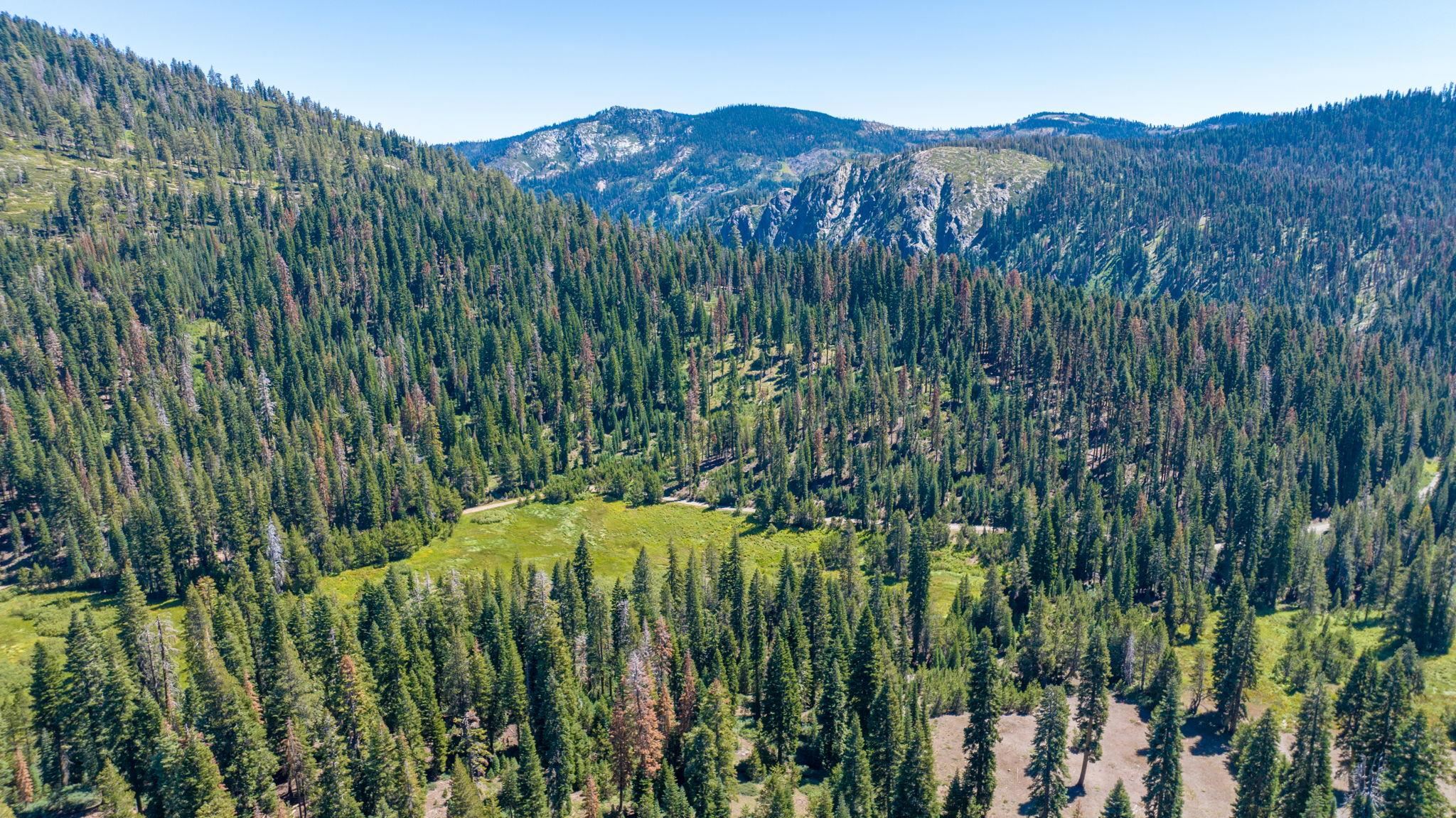 14500 Sloat McRae Road, Johnsville, CA, 96103