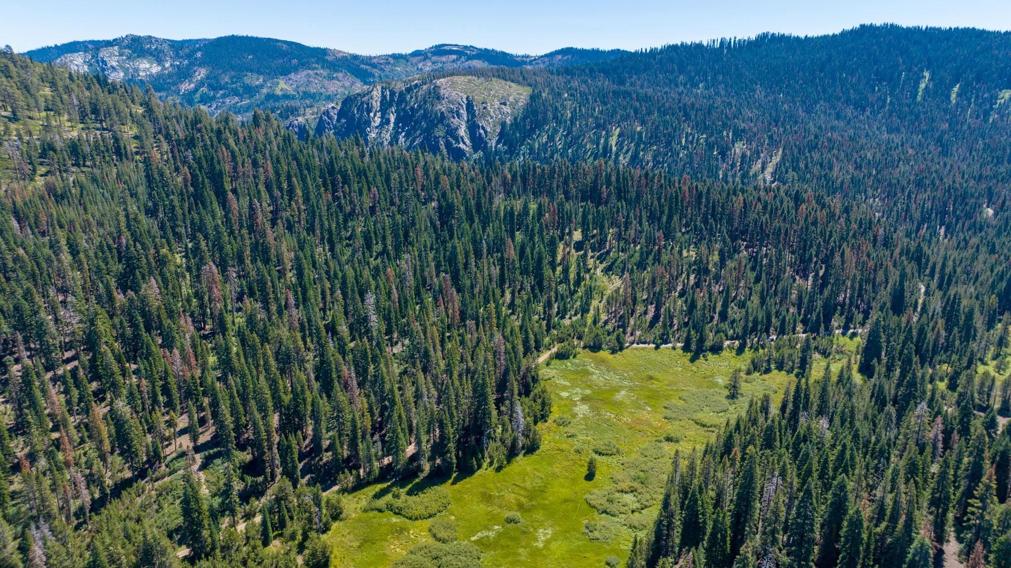 14500 Sloat McRae Road, Johnsville, CA, 96103