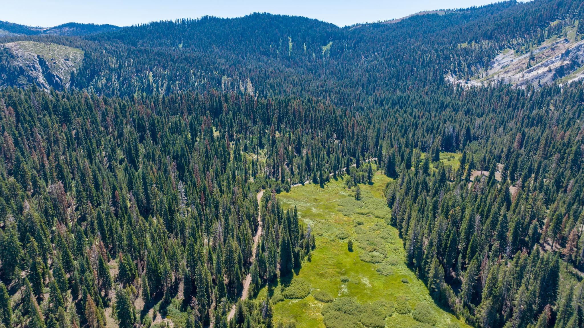 14500 Sloat McRae Road, Johnsville, CA, 96103