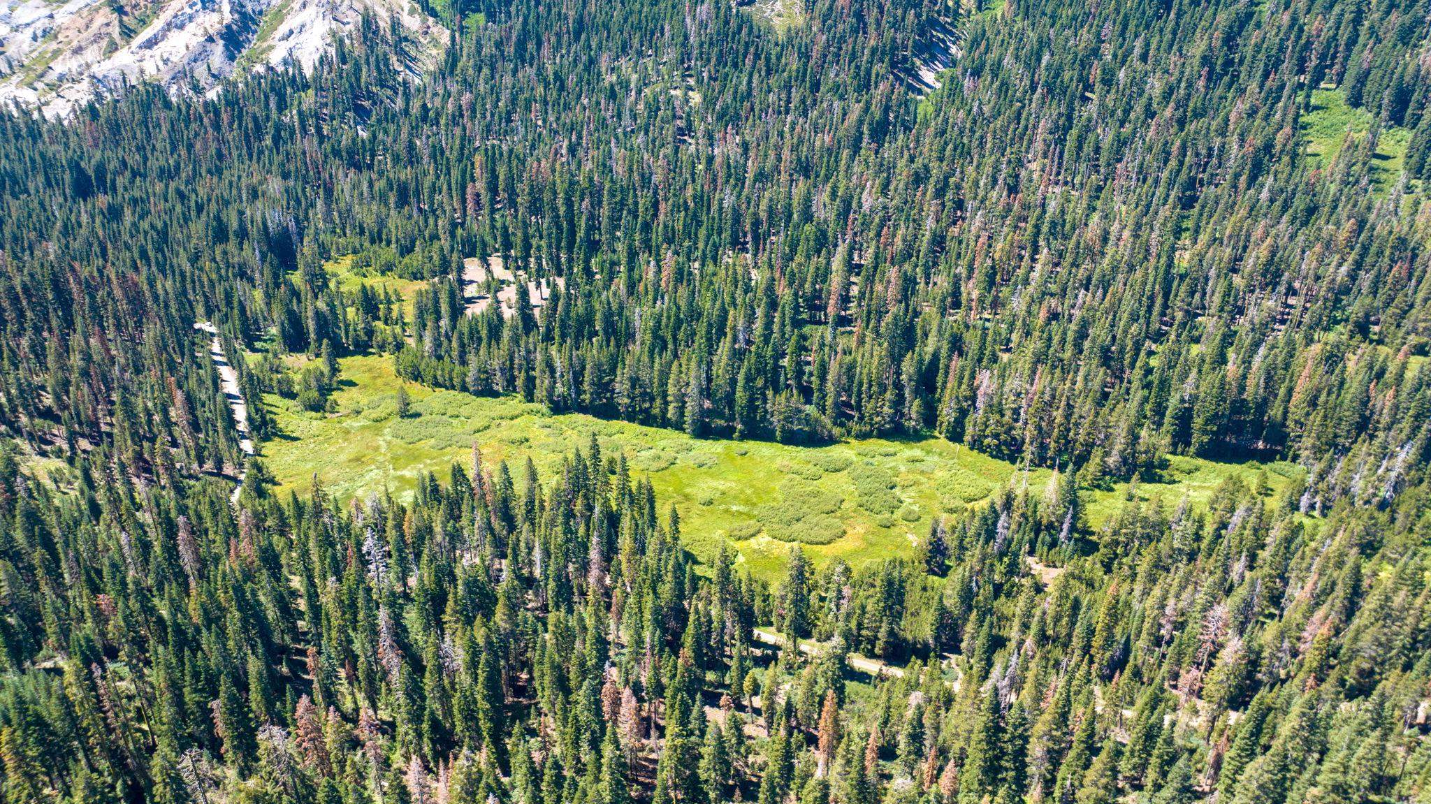 14500 Sloat McRae Road, Johnsville, CA, 96103