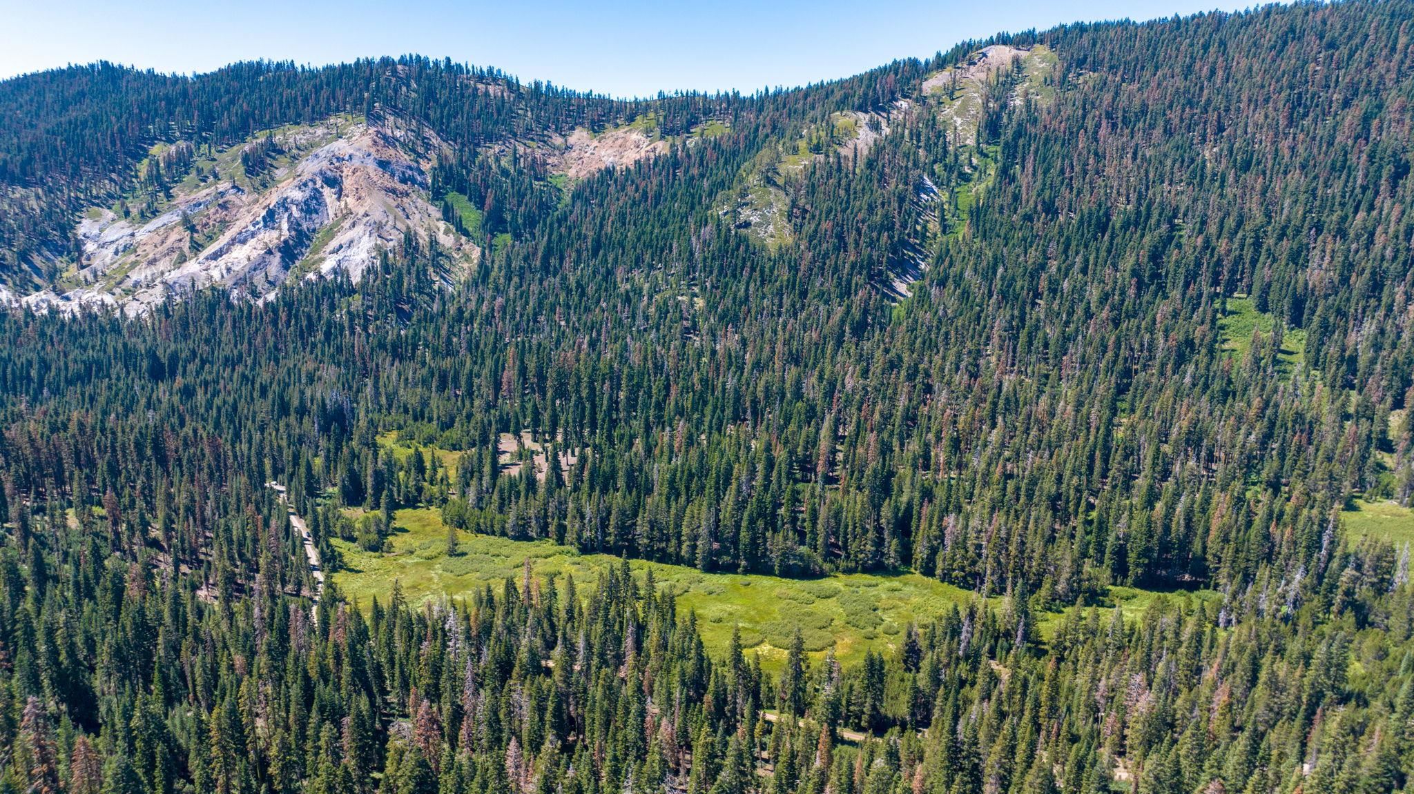 14500 Sloat McRae Road, Johnsville, CA, 96103