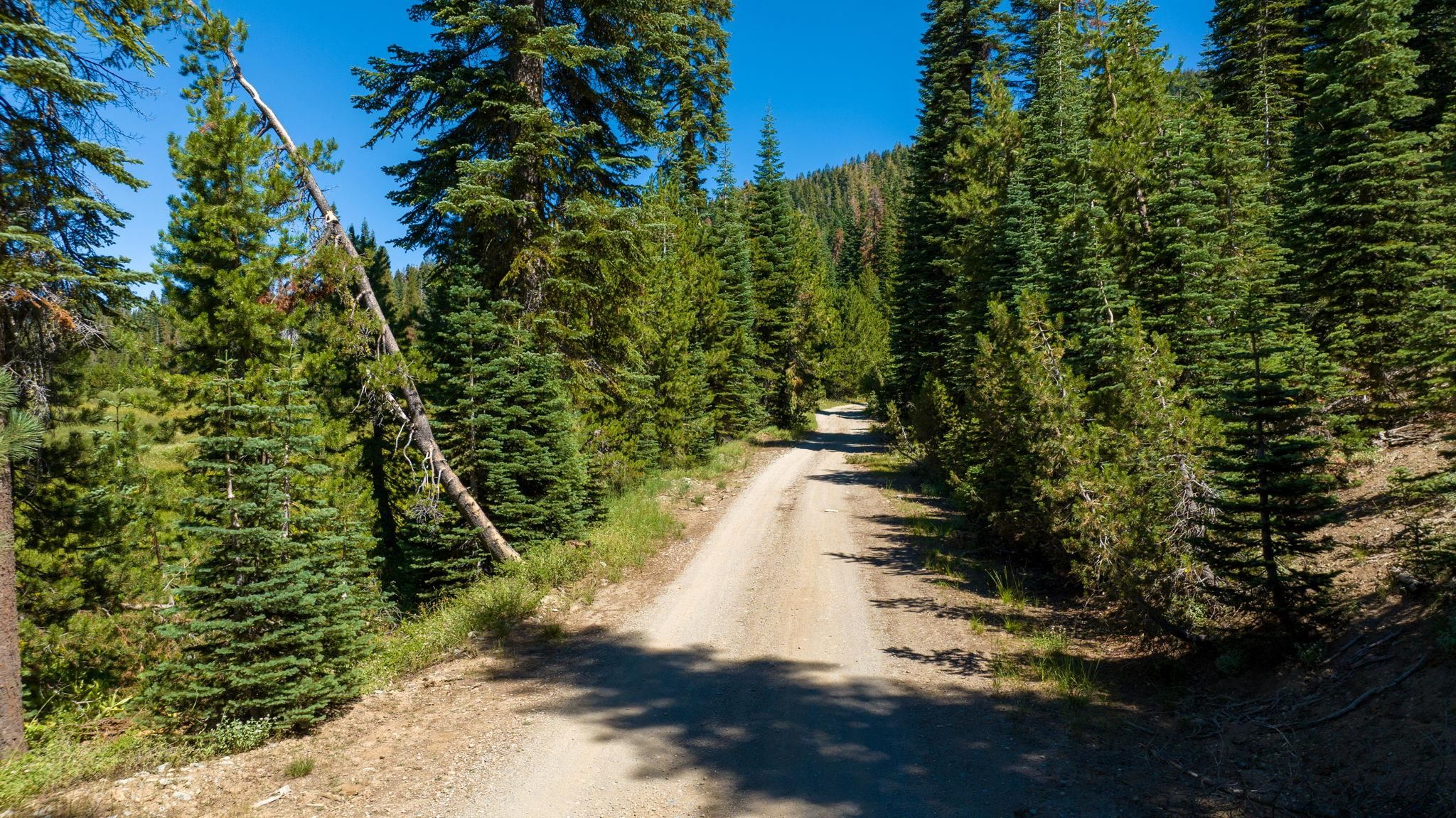 14500 Sloat McRae Road, Johnsville, CA, 96103