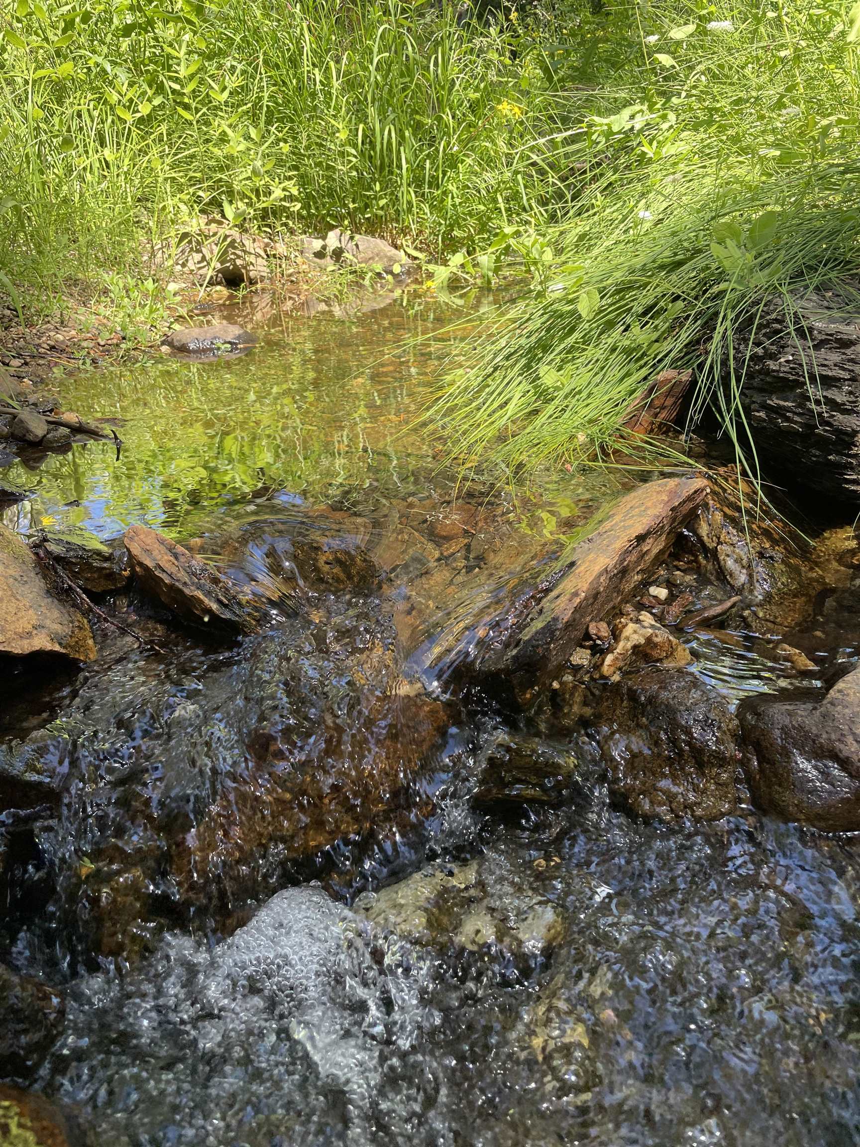 14500 Sloat McRae Road, Johnsville, CA, 96103