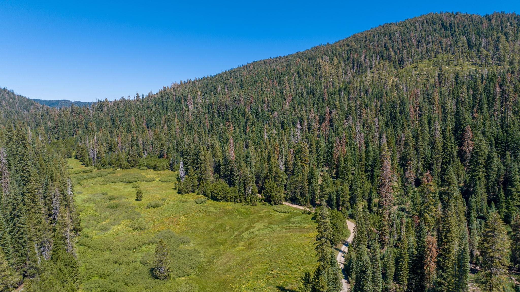 14500 Sloat McRae Road, Johnsville, CA, 96103