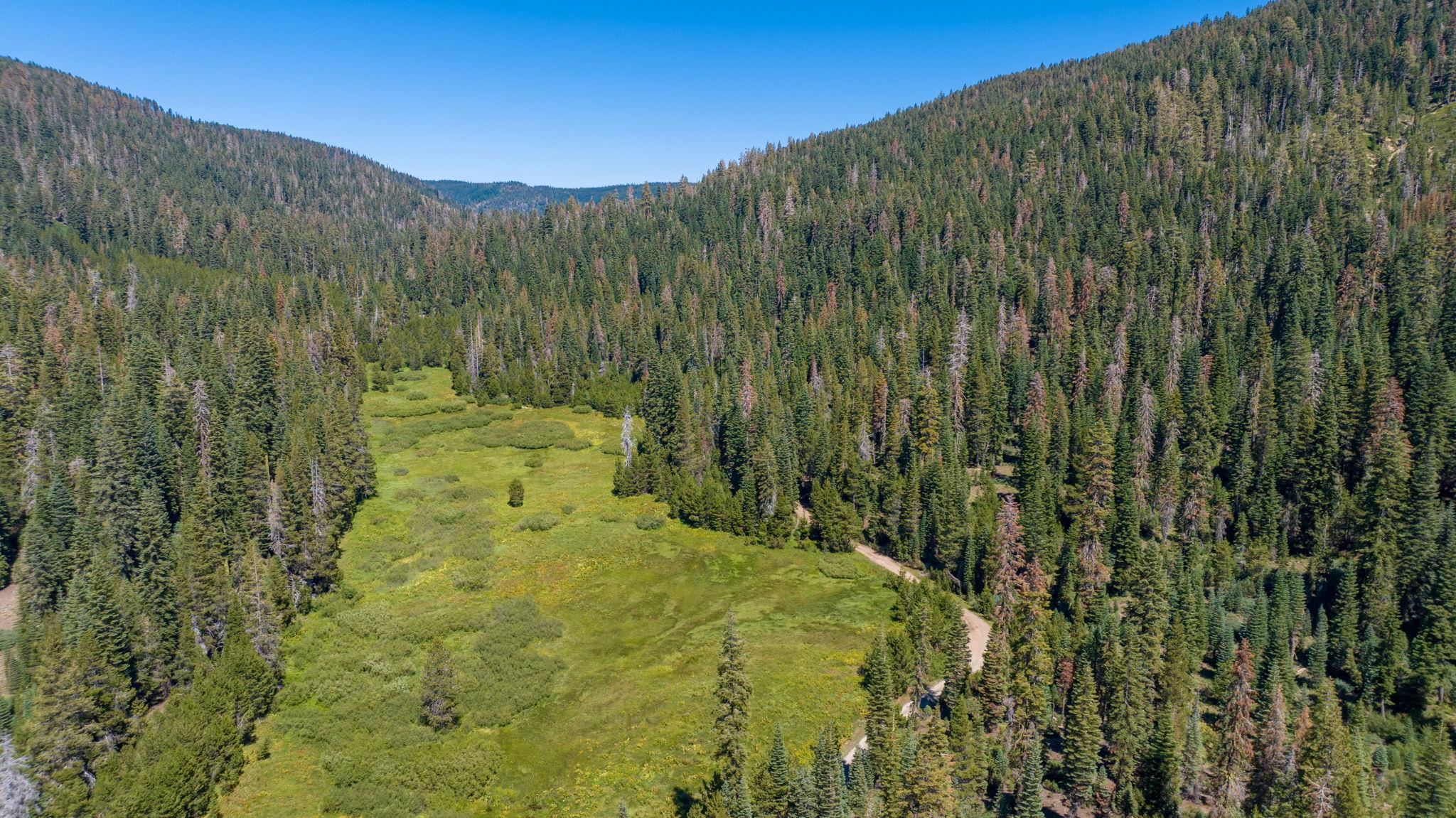 14500 Sloat McRae Road, Johnsville, CA, 96103