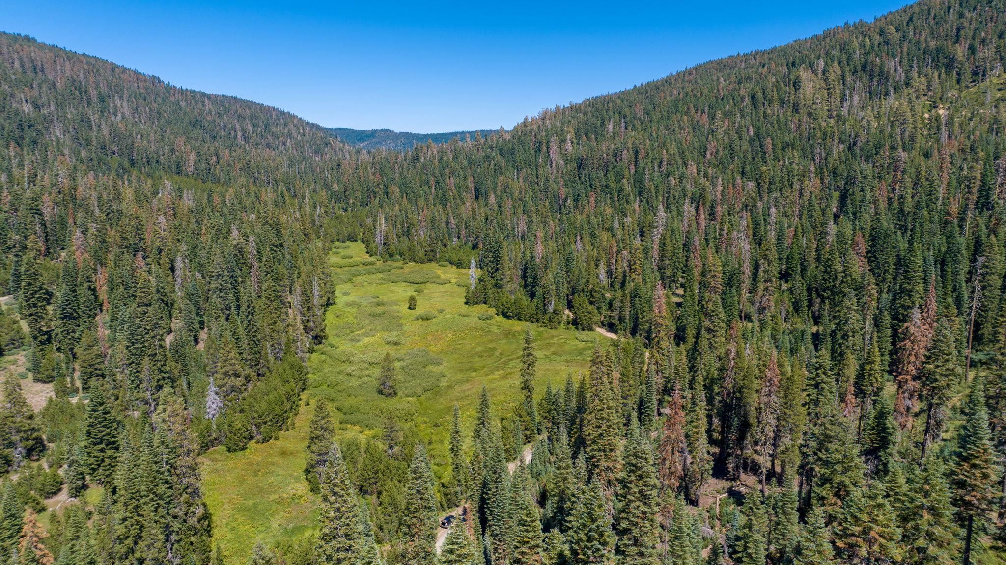 14500 Sloat McRae Road, Johnsville, CA, 96103