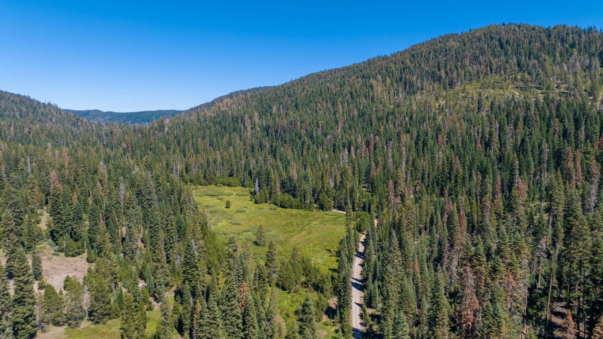 14500 Sloat McRae Road, Johnsville, CA, 96103