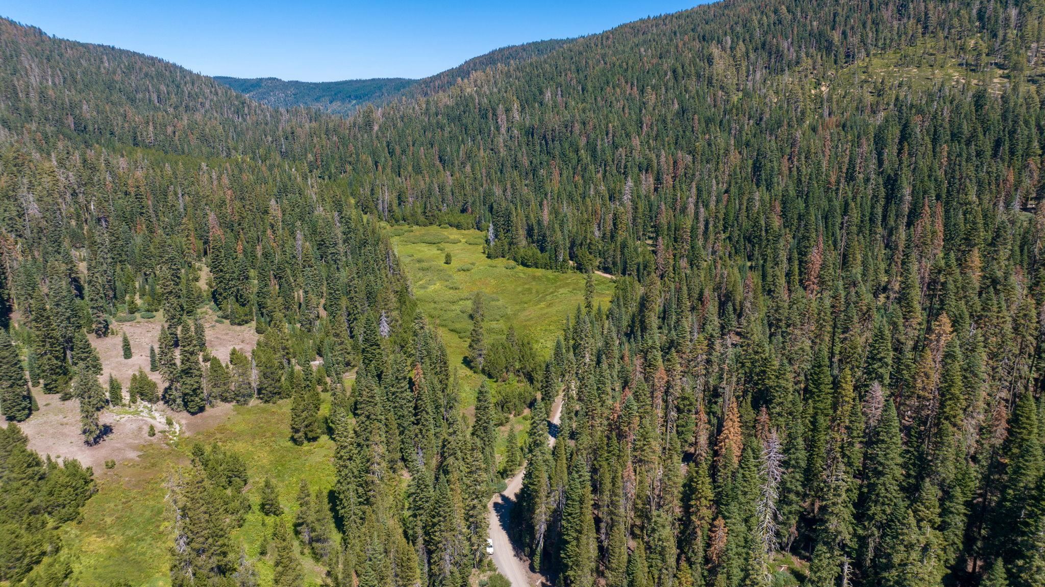 14500 Sloat McRae Road, Johnsville, CA, 96103