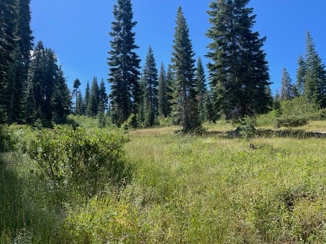 51460 Red Fir Drive, Soda Springs, CA, 95728