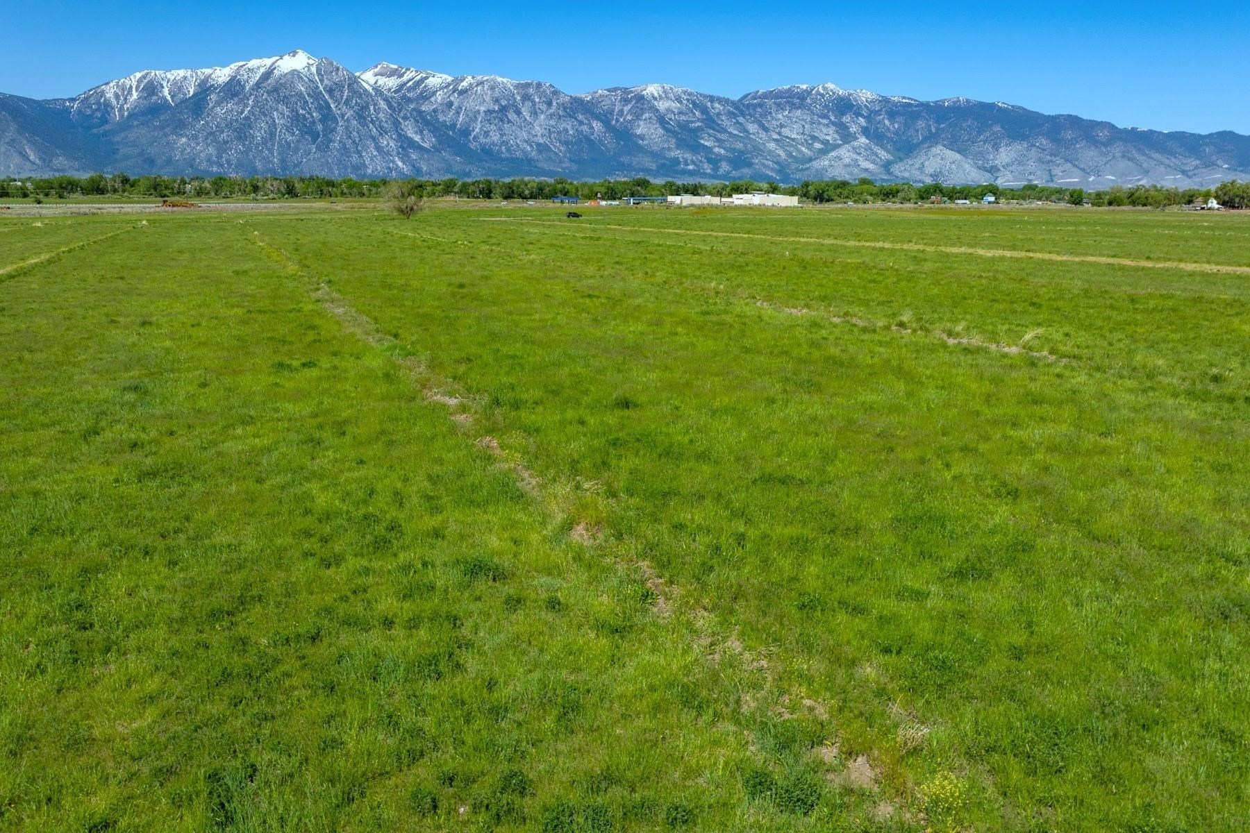 000 Pinenut Road, Gardnerville, NV, 89410