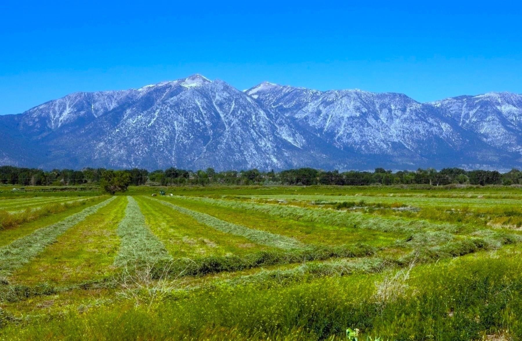 000 Pinenut Road, Gardnerville, NV, 89410