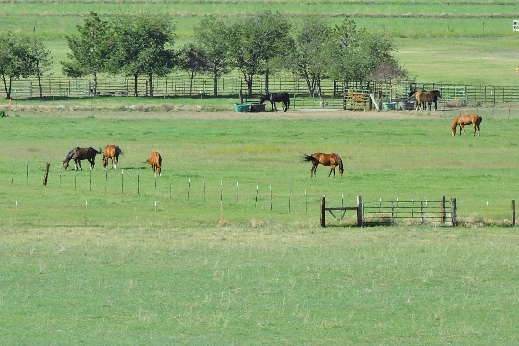 000 Pinenut Road, Gardnerville, NV, 89410