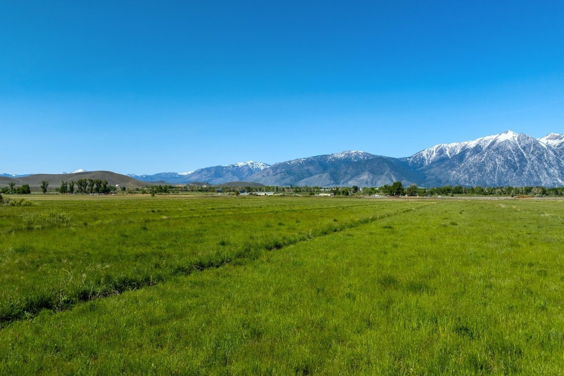 000 Pinenut Road, Gardnerville, NV, 89410