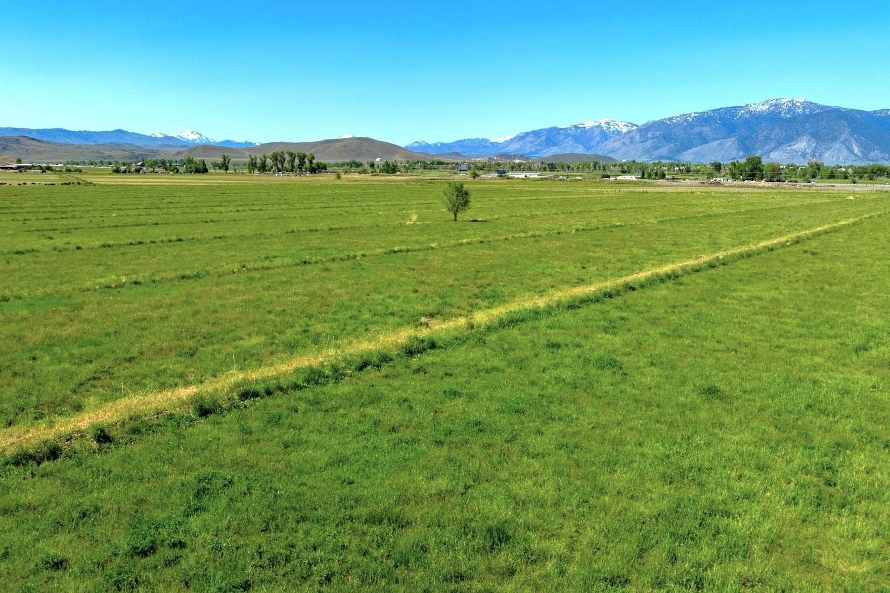 000 Pinenut Road, Gardnerville, NV, 89410