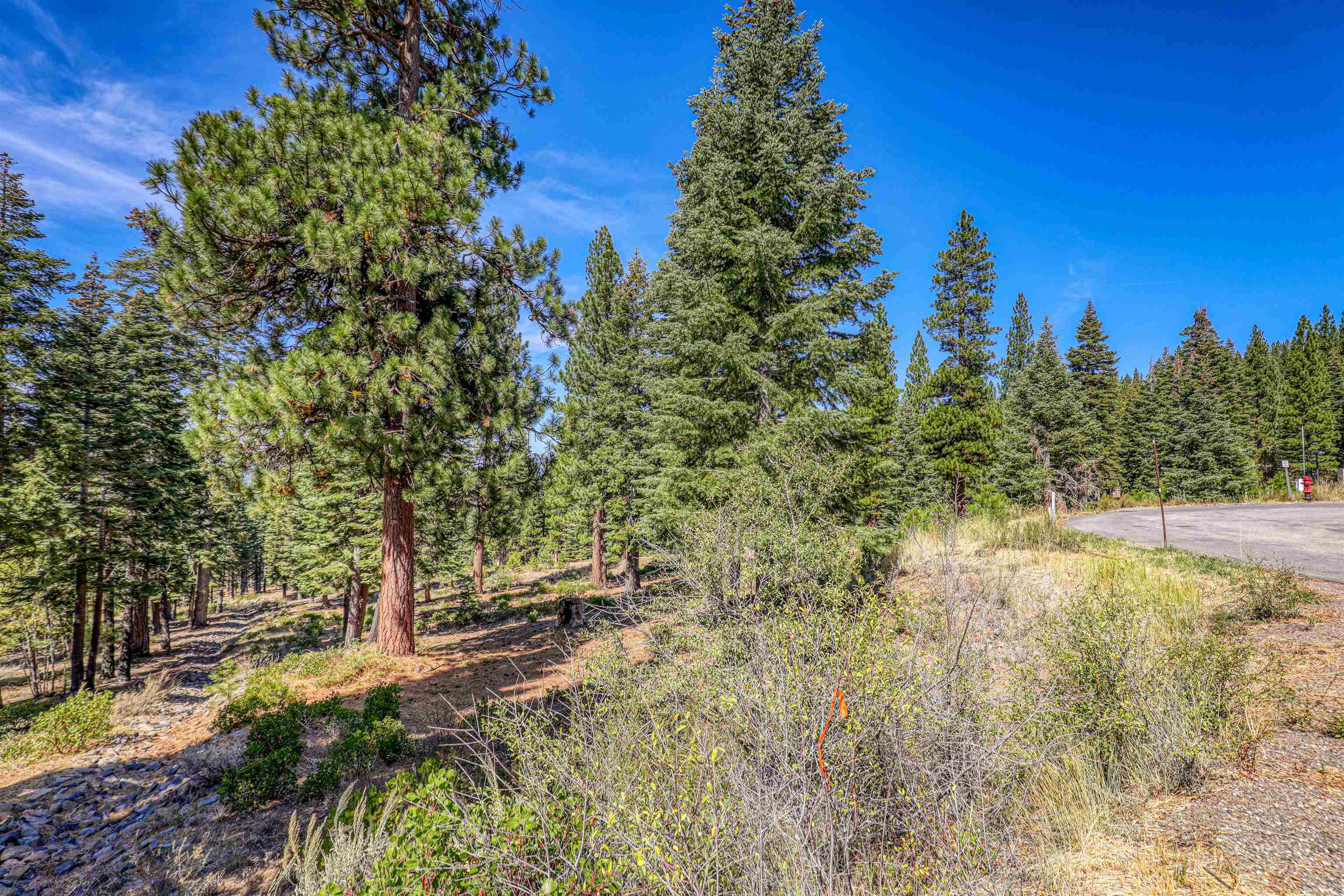 2785 Cross Cut Court, Truckee, CA, 96161