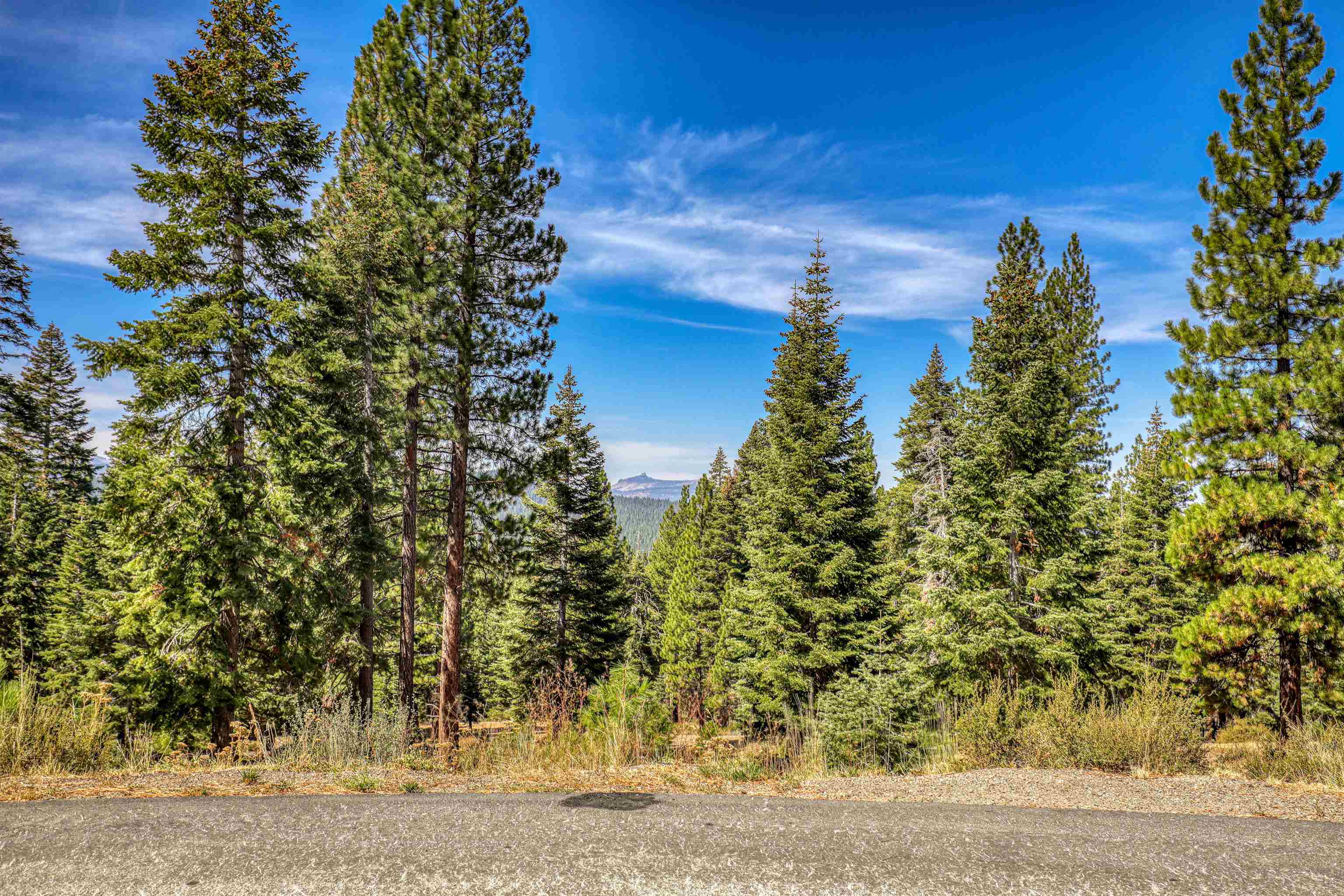 2785 Cross Cut Court, Truckee, CA, 96161