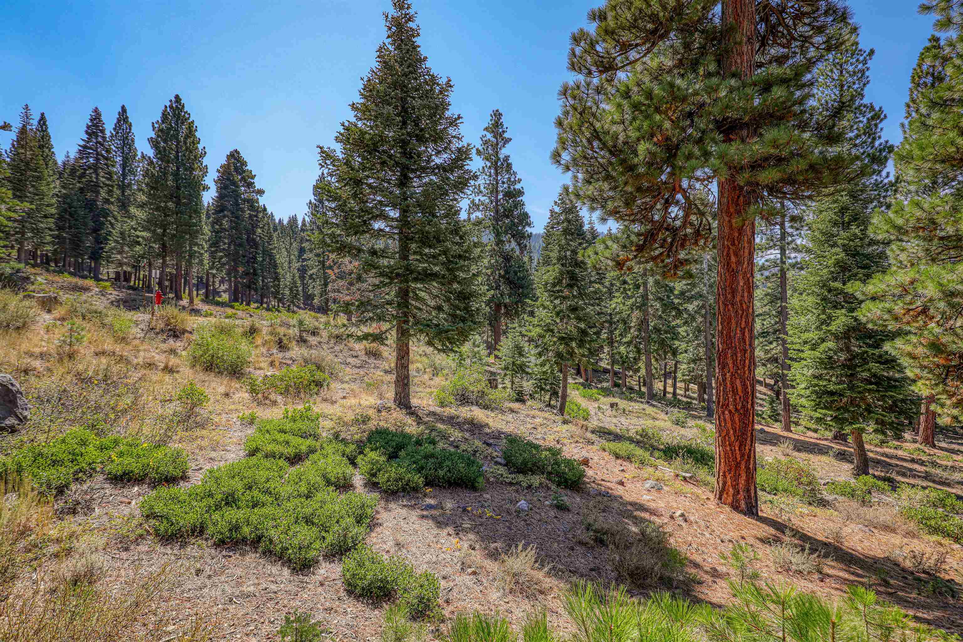 2785 Cross Cut Court, Truckee, CA, 96161