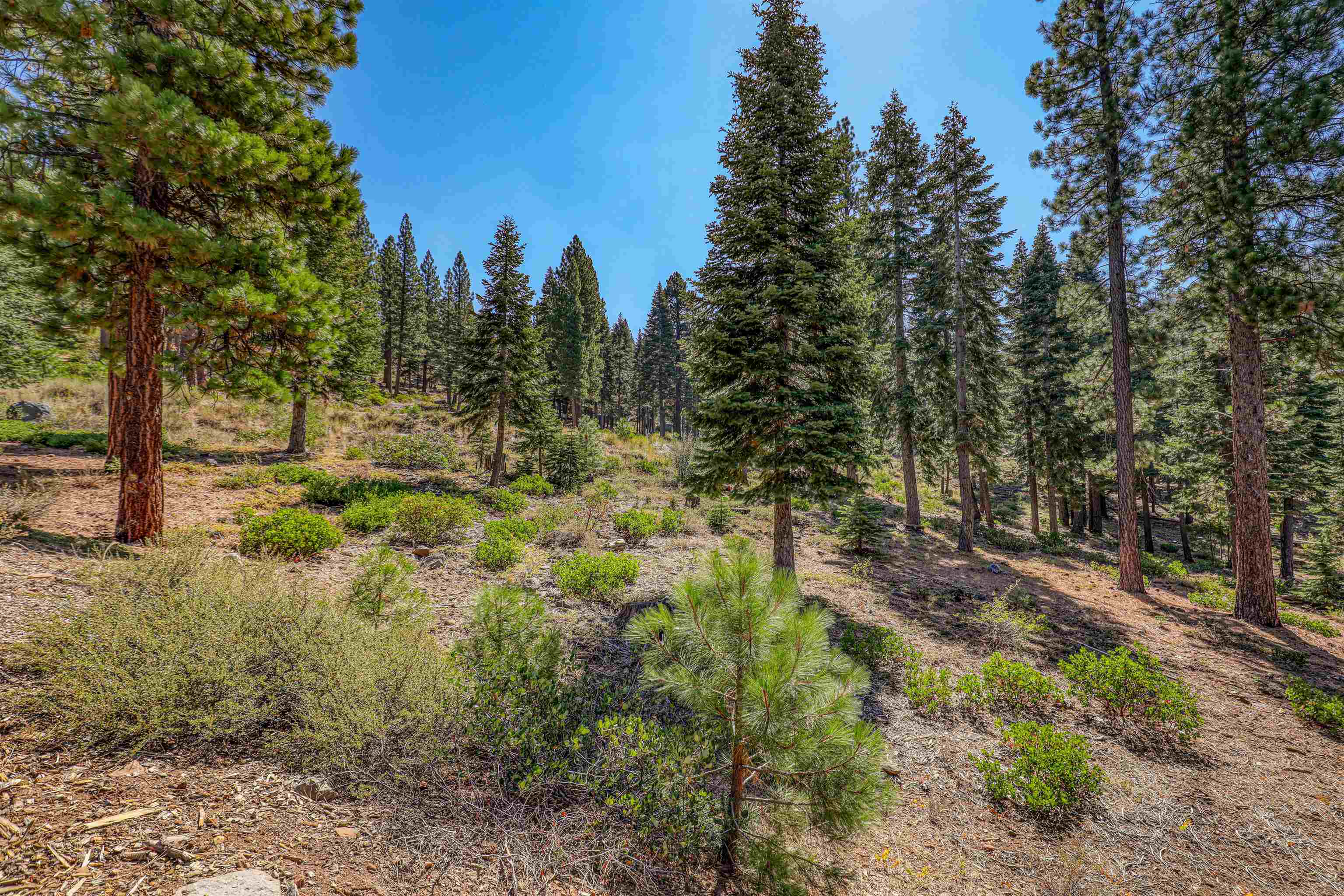 2785 Cross Cut Court, Truckee, CA, 96161