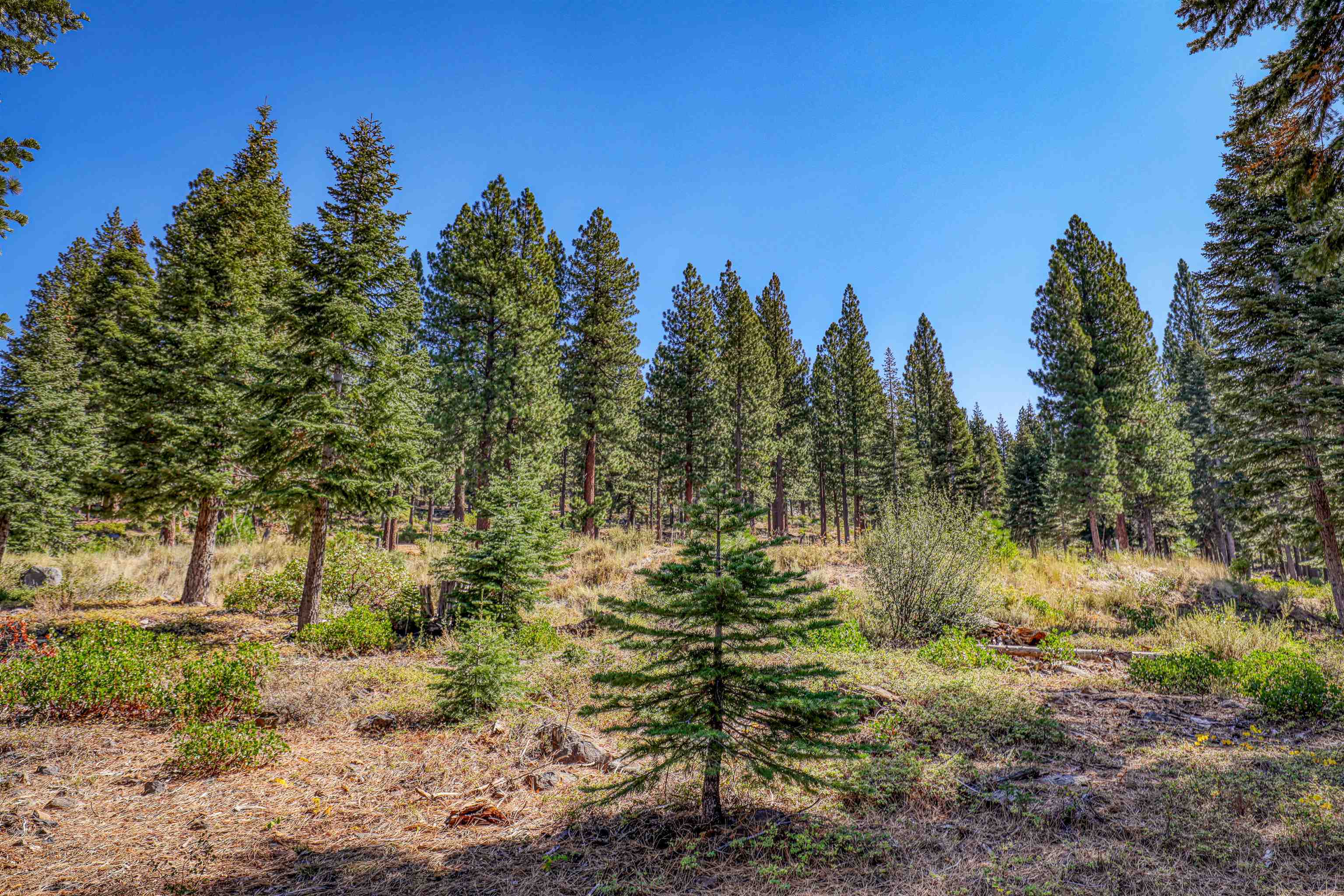 2785 Cross Cut Court, Truckee, CA, 96161