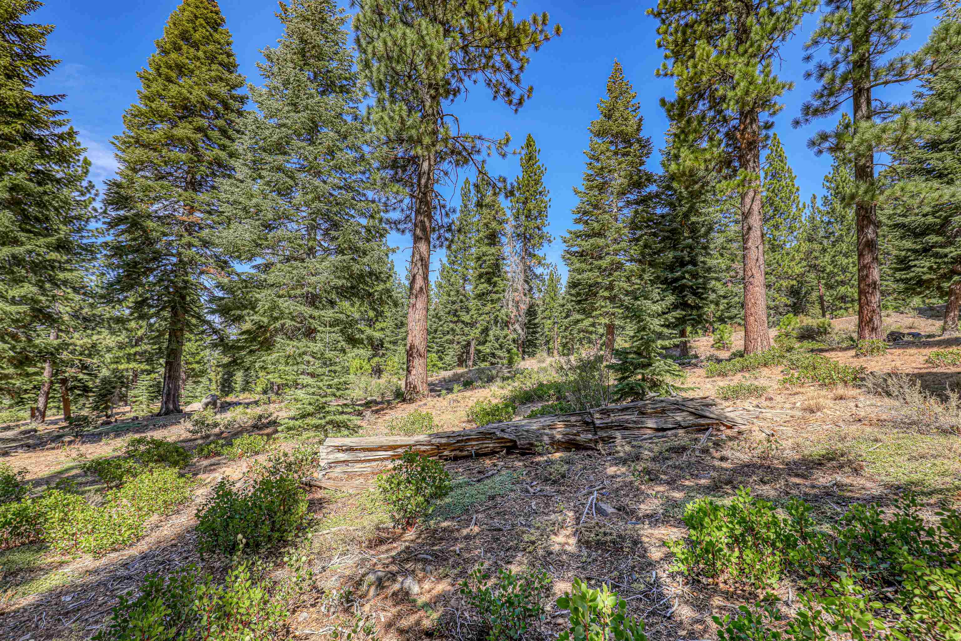 2785 Cross Cut Court, Truckee, CA, 96161