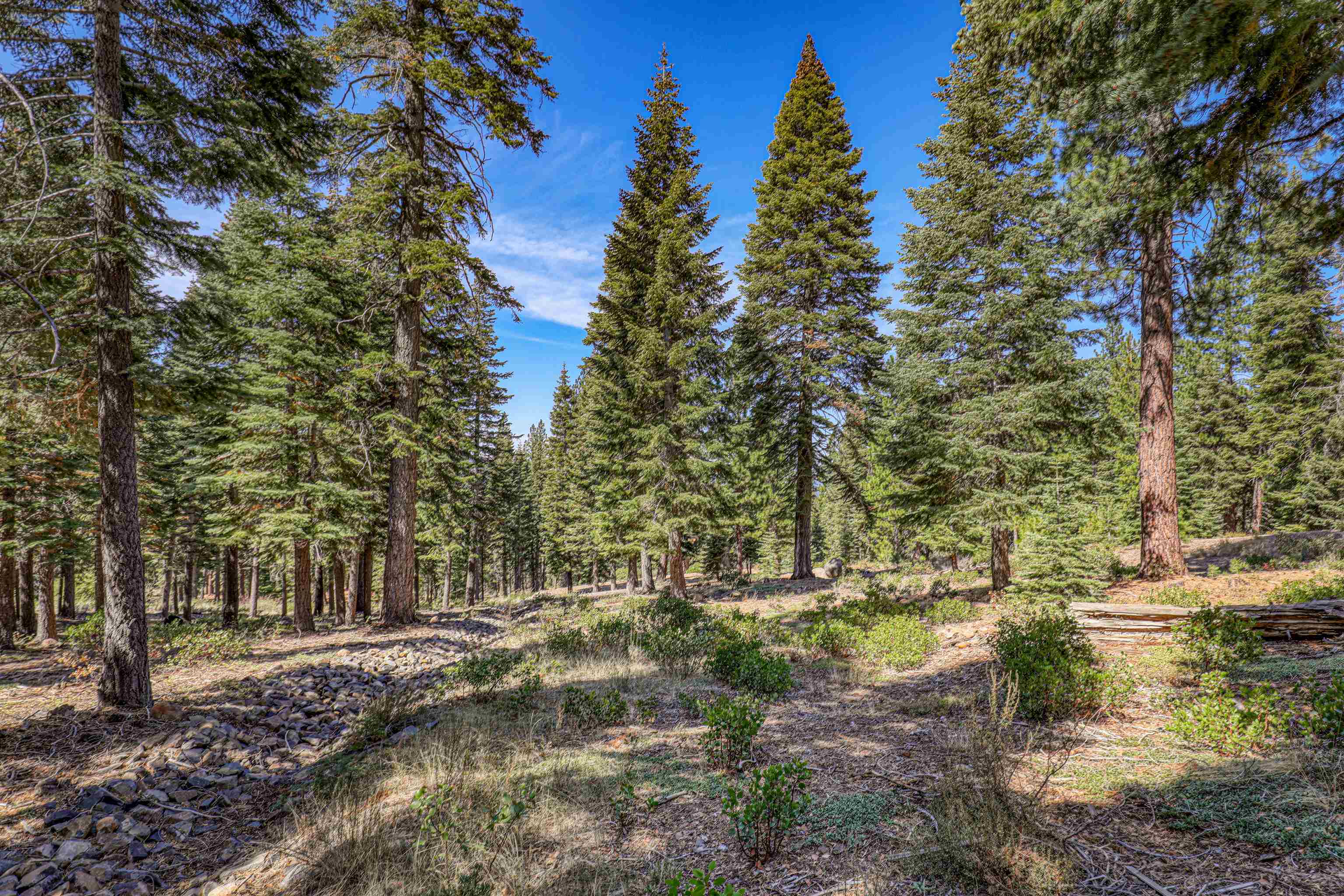 2785 Cross Cut Court, Truckee, CA, 96161