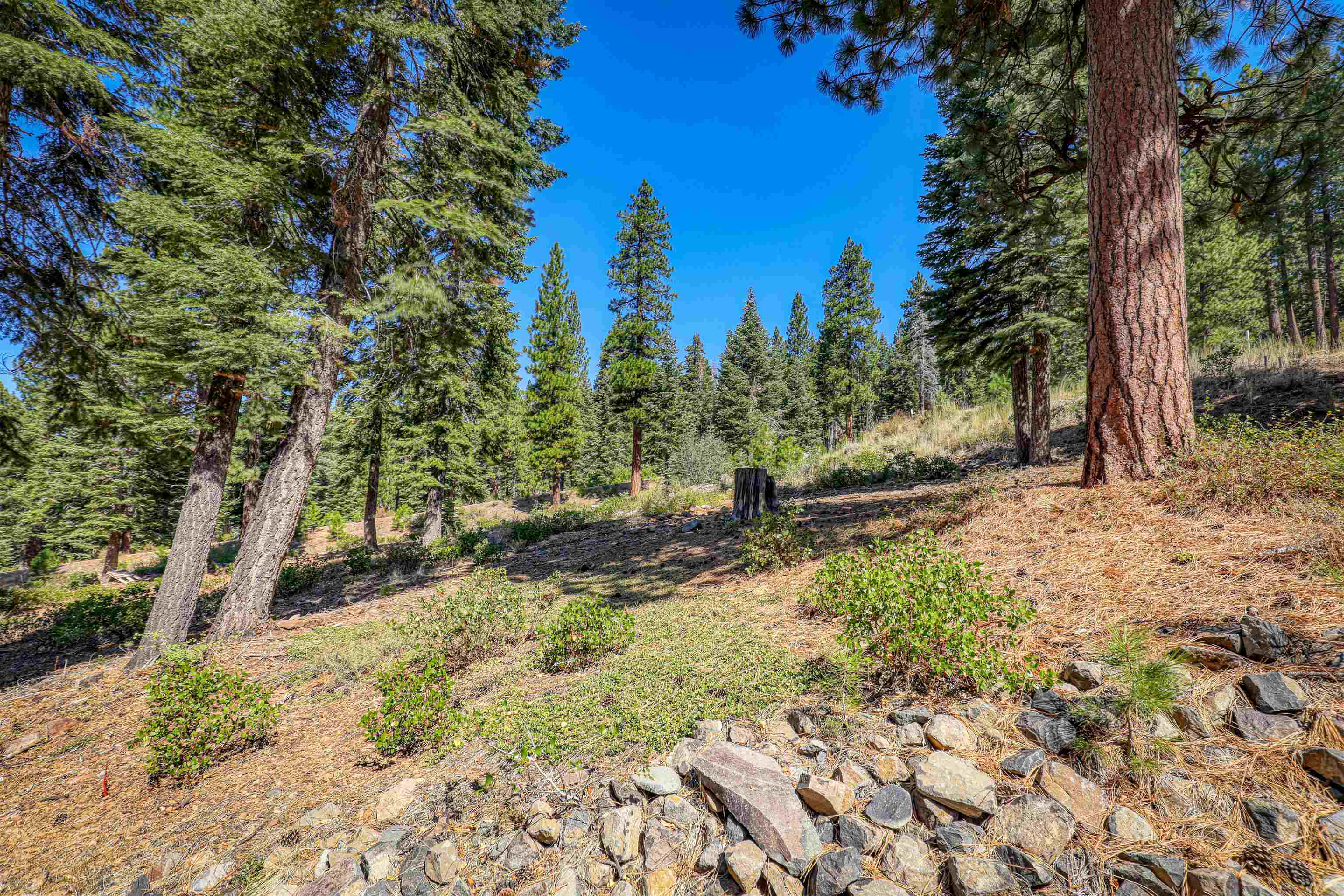 2785 Cross Cut Court, Truckee, CA, 96161