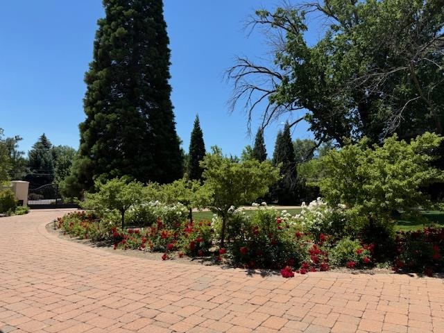 631 California Avenue, Reno, NV, 89509