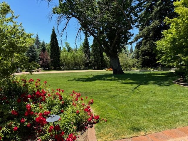 631 California Avenue, Reno, NV, 89509