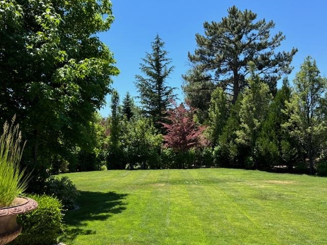 631 California Avenue, Reno, NV, 89509