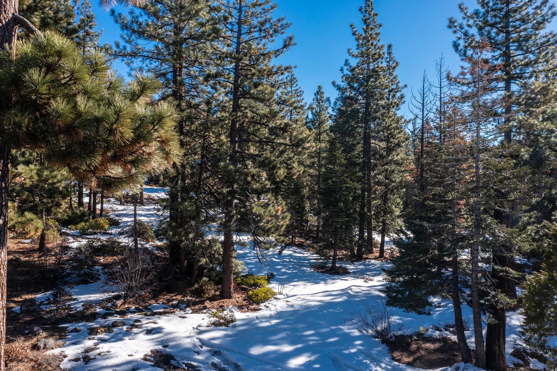3100 North Lake Boulevard, Tahoe City, CA, 96145