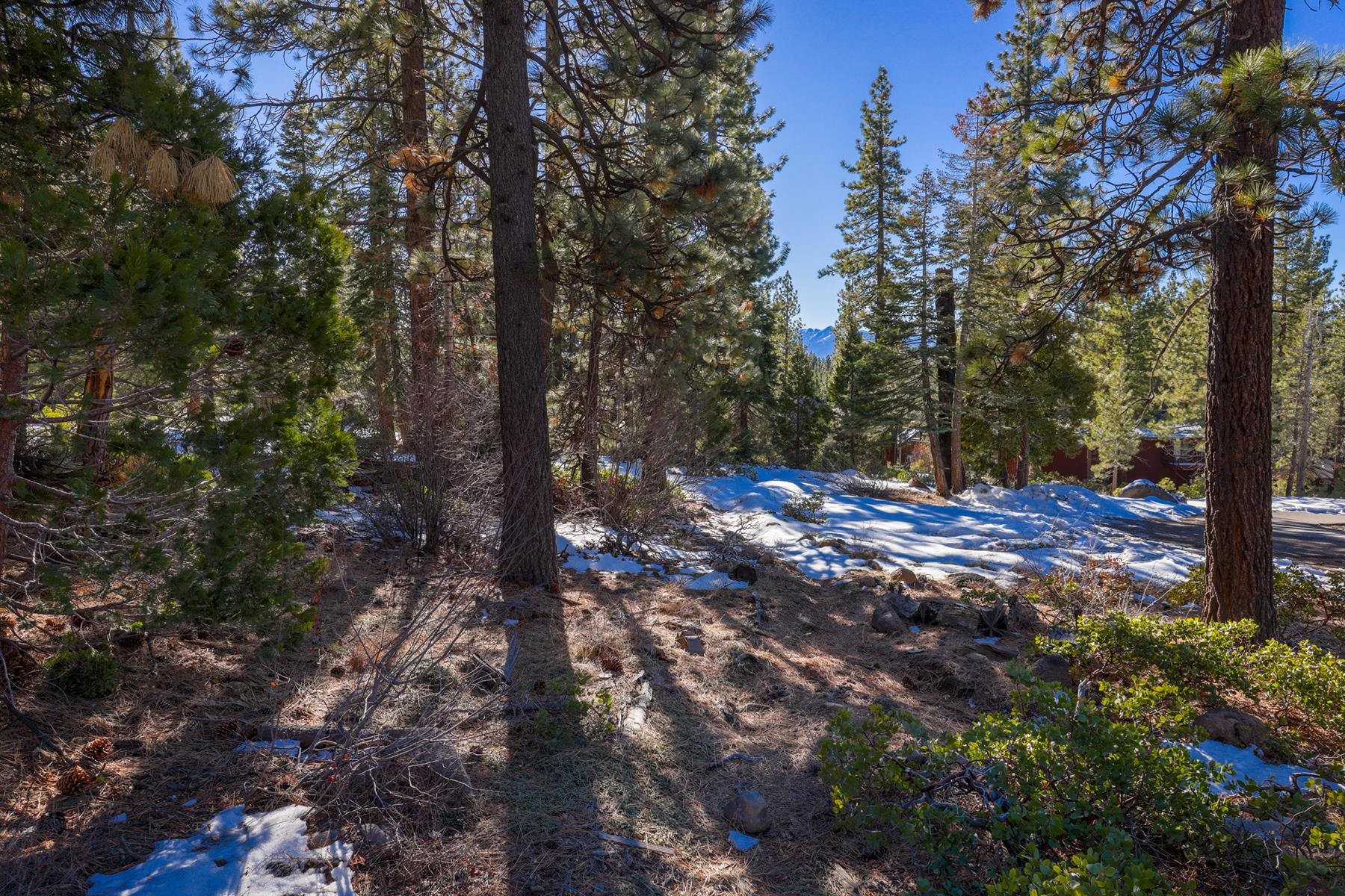 3100 North Lake Boulevard, Tahoe City, CA, 96145
