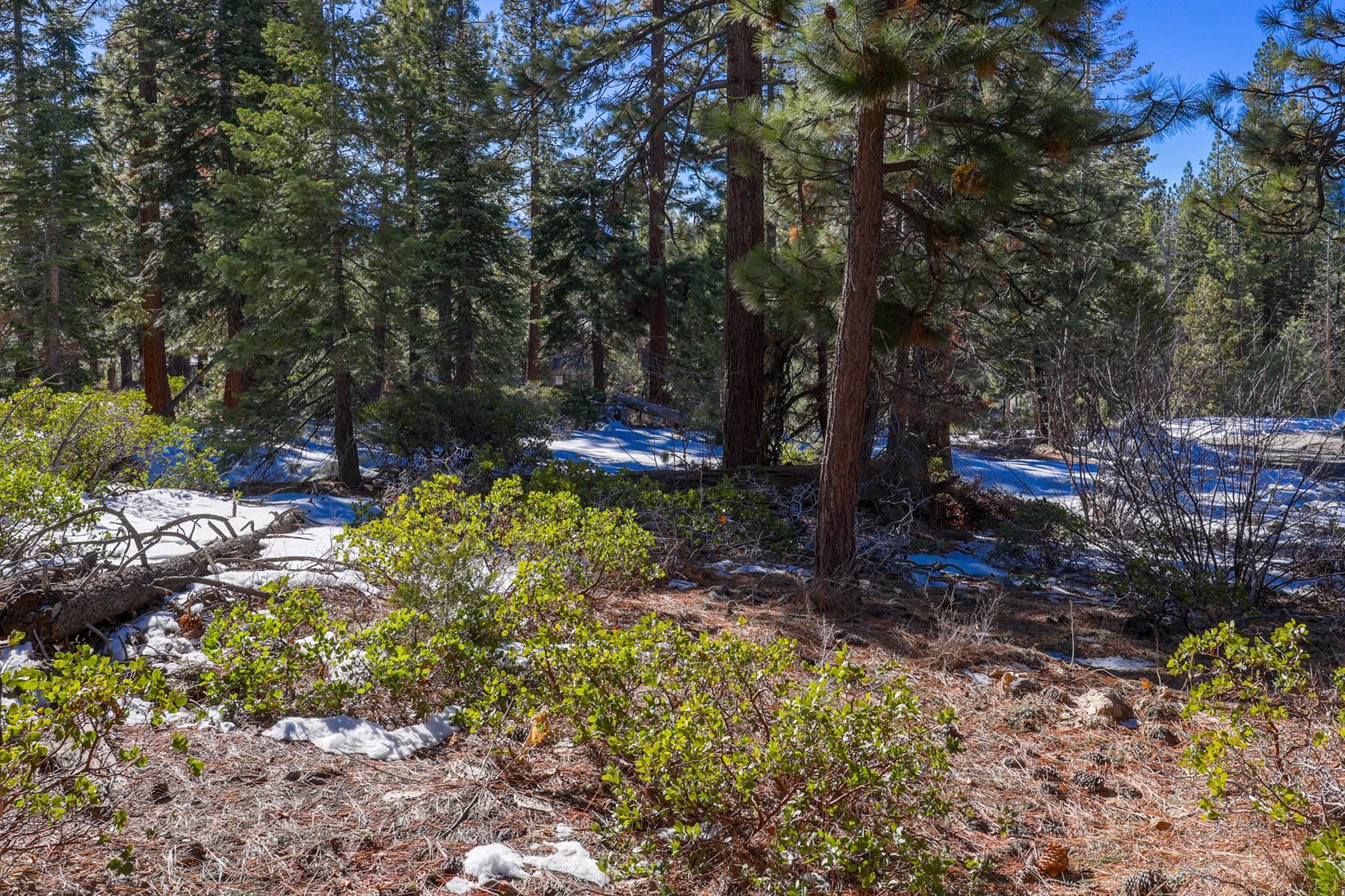 3100 North Lake Boulevard, Tahoe City, CA, 96145