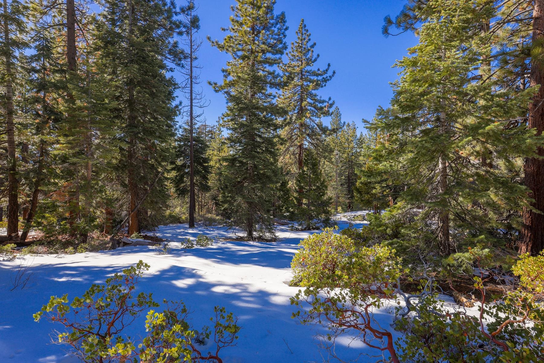 3100 North Lake Boulevard, Tahoe City, CA, 96145