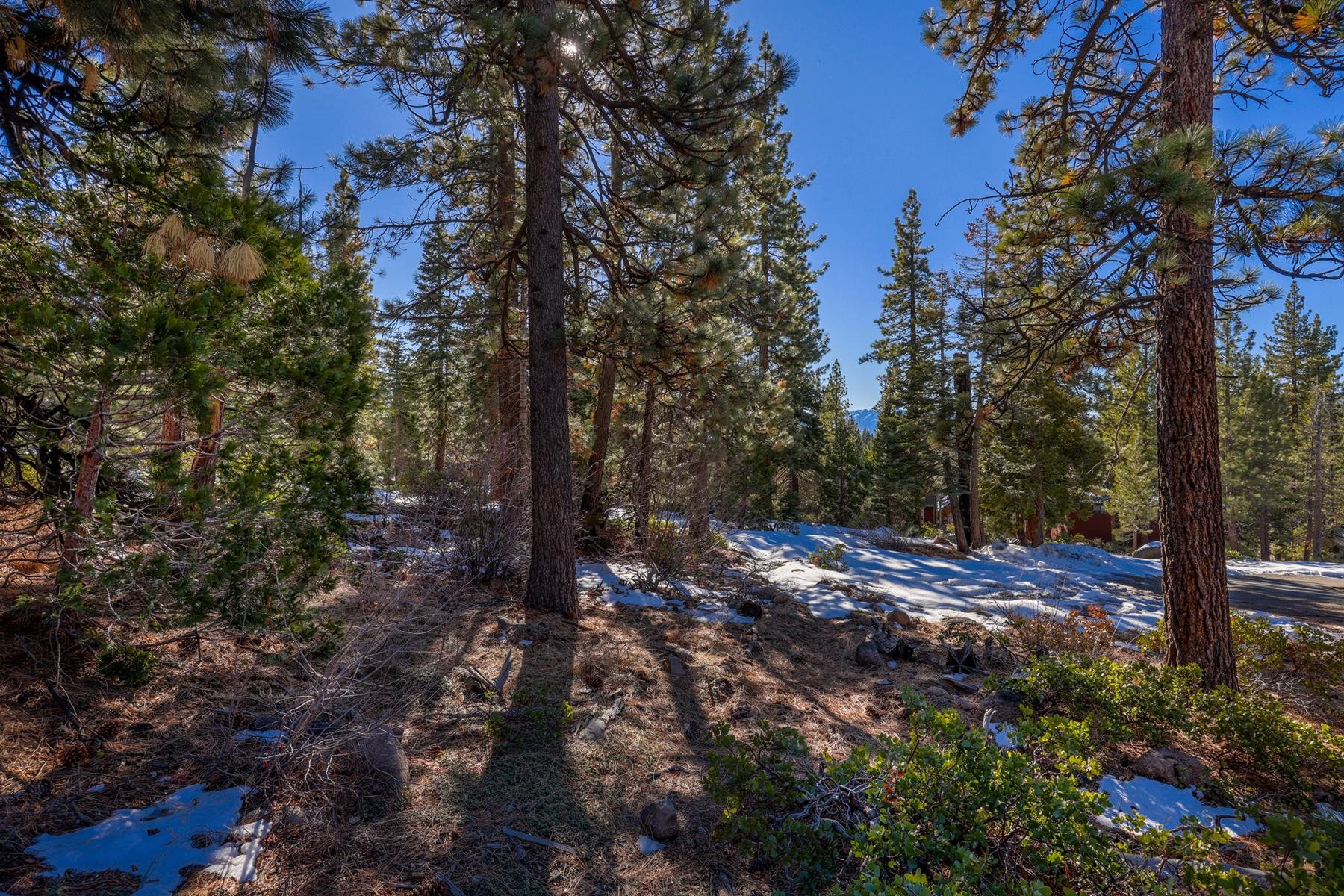 3100 North Lake Boulevard, Tahoe City, CA, 96145