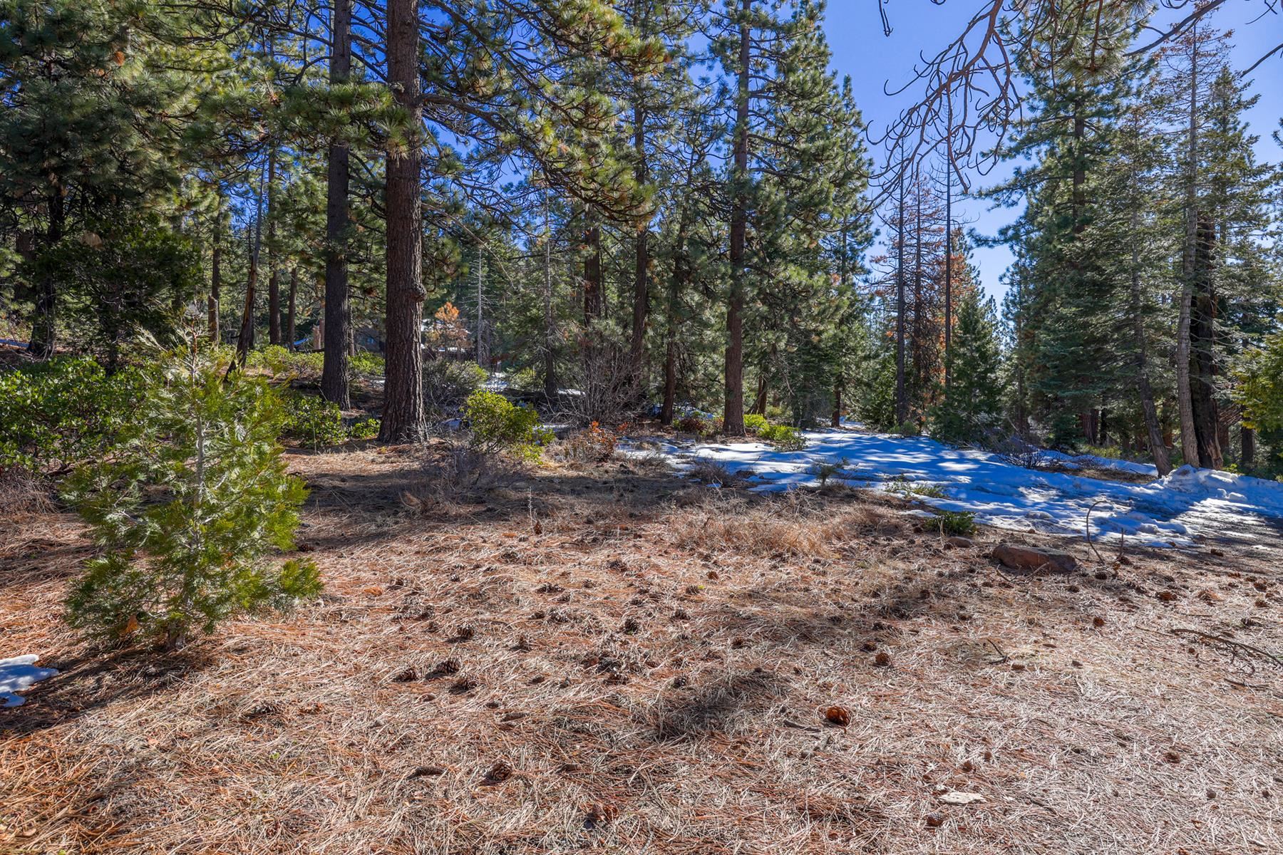 3100 North Lake Boulevard, Tahoe City, CA, 96145