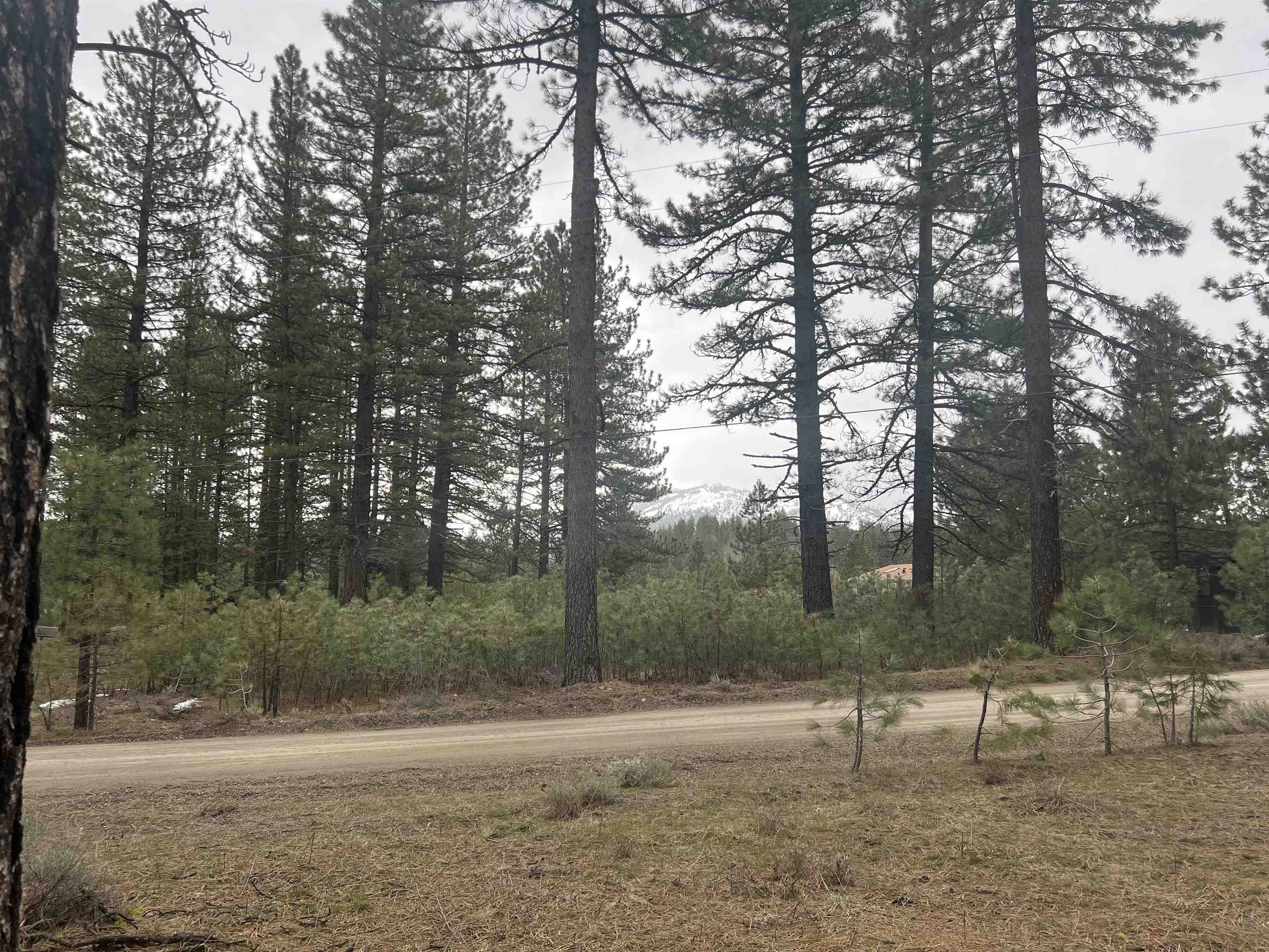 5739 Iron Horse Drive, Portola, CA, 96122