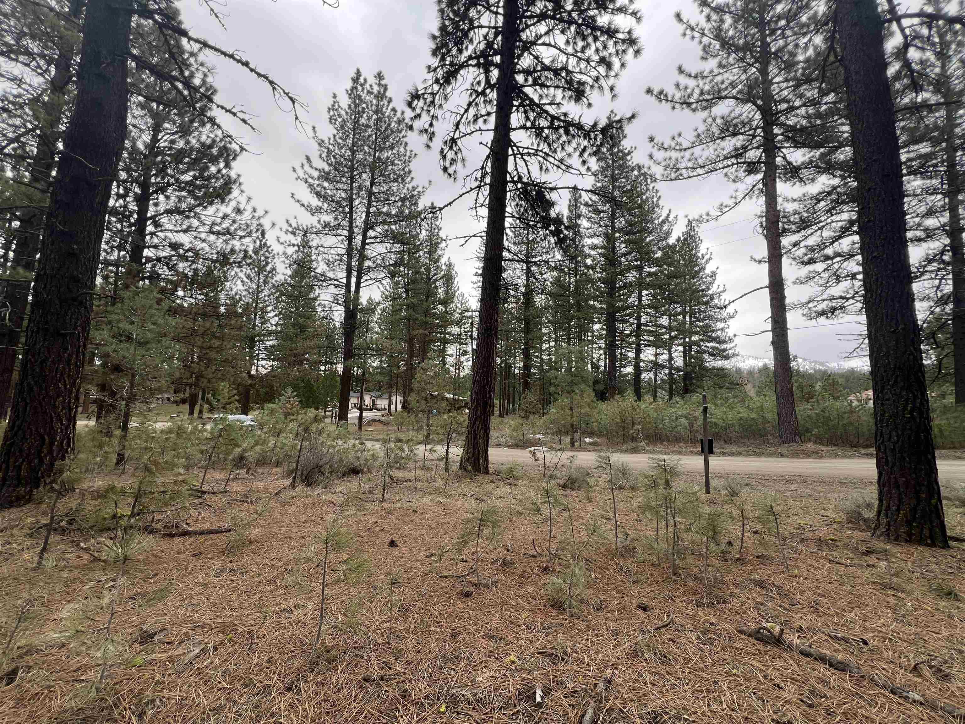 5739 Iron Horse Drive, Portola, CA, 96122