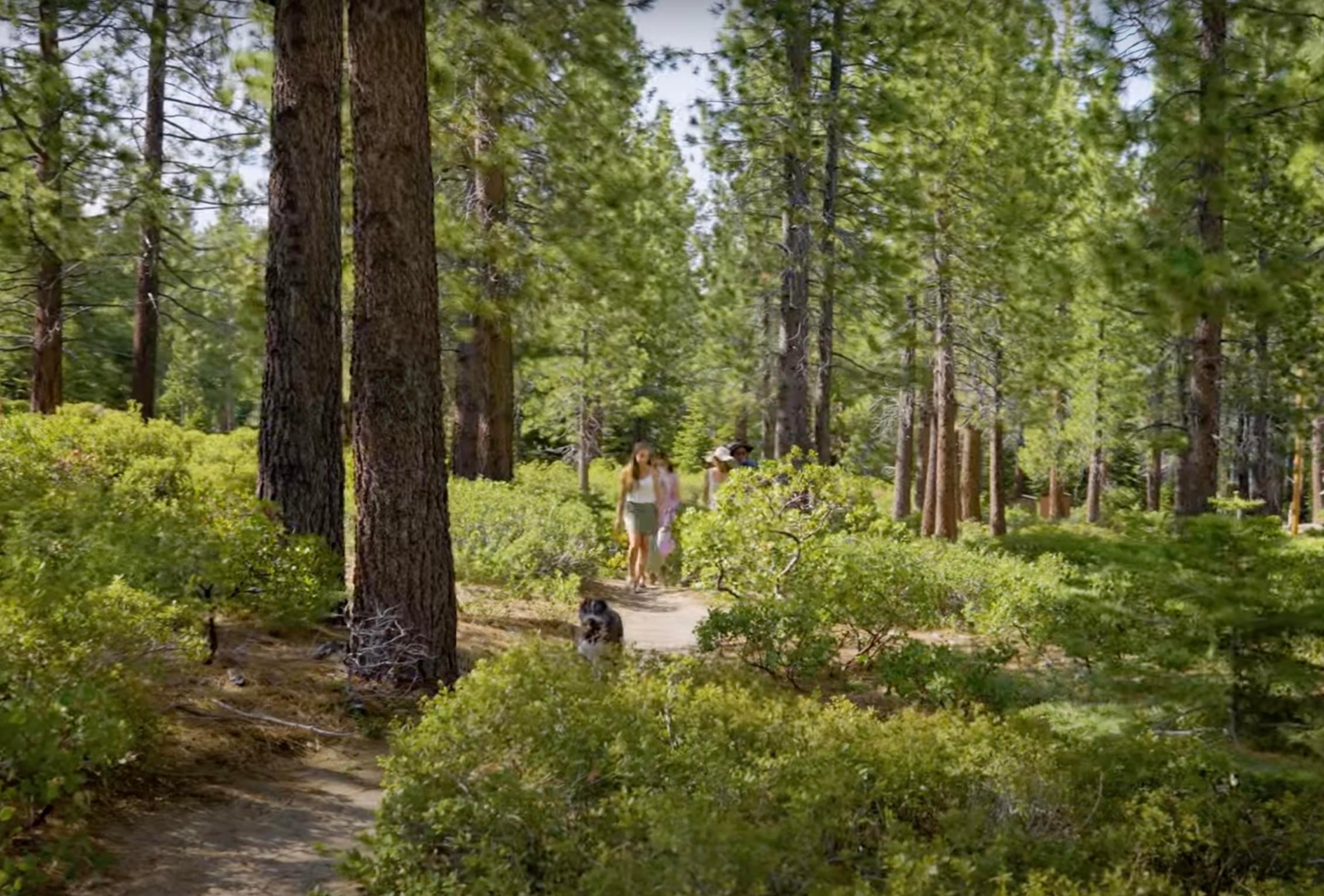 8901 Rubicon Drive, Meeks Bay, CA, 96142