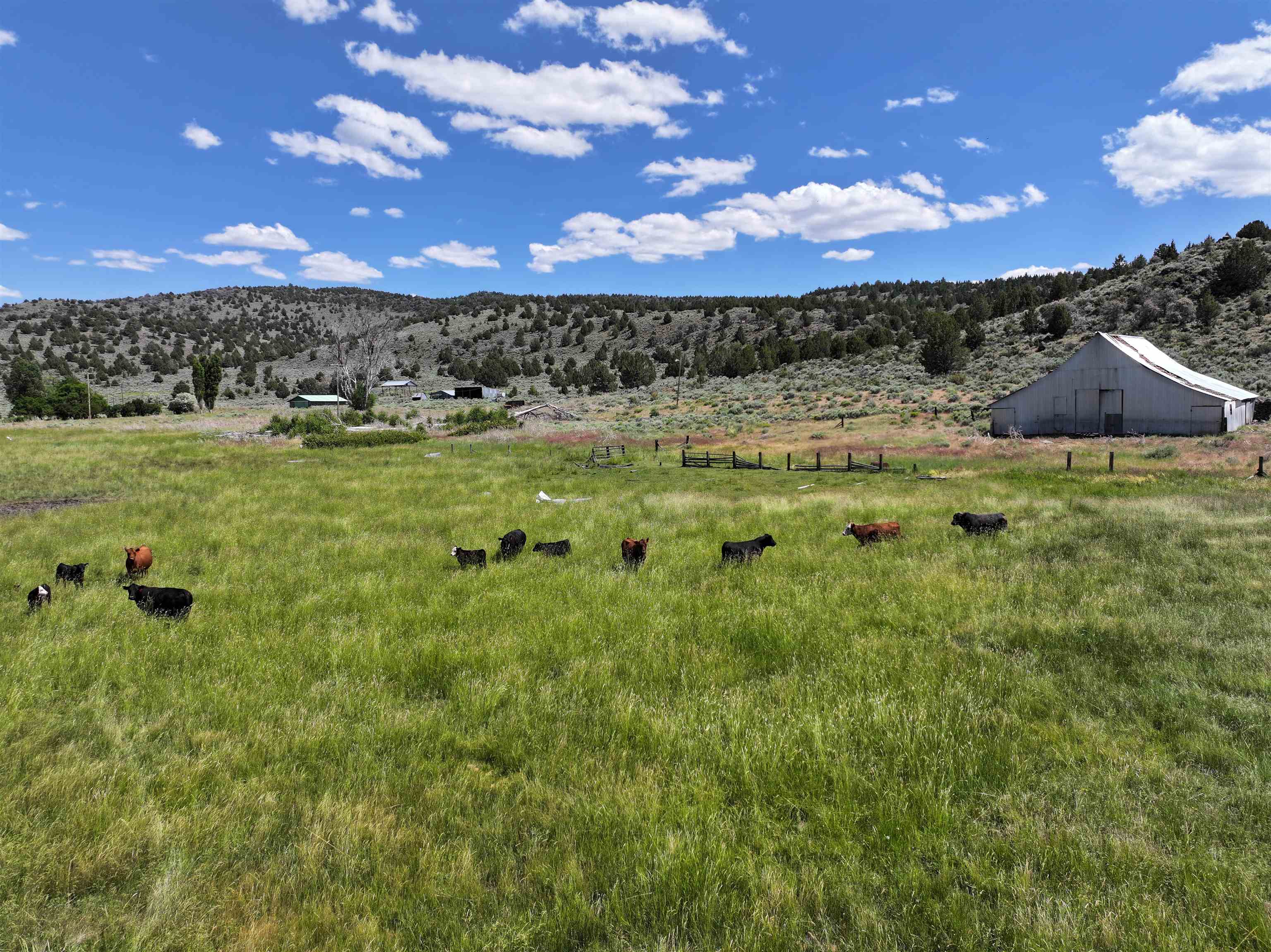 705 200 Highway 395, Termo, CA, 96132