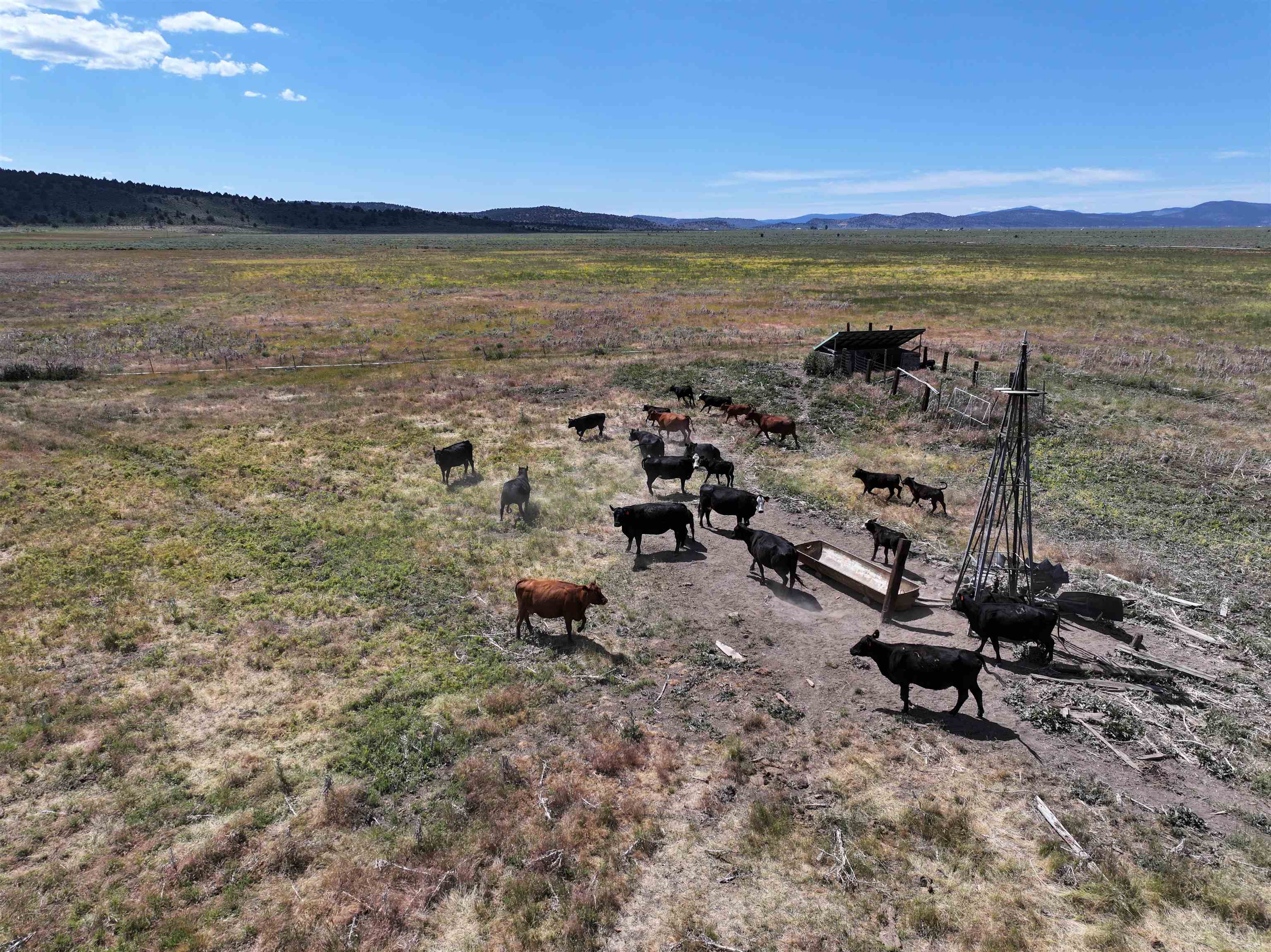 705 200 Highway 395, Termo, CA, 96132