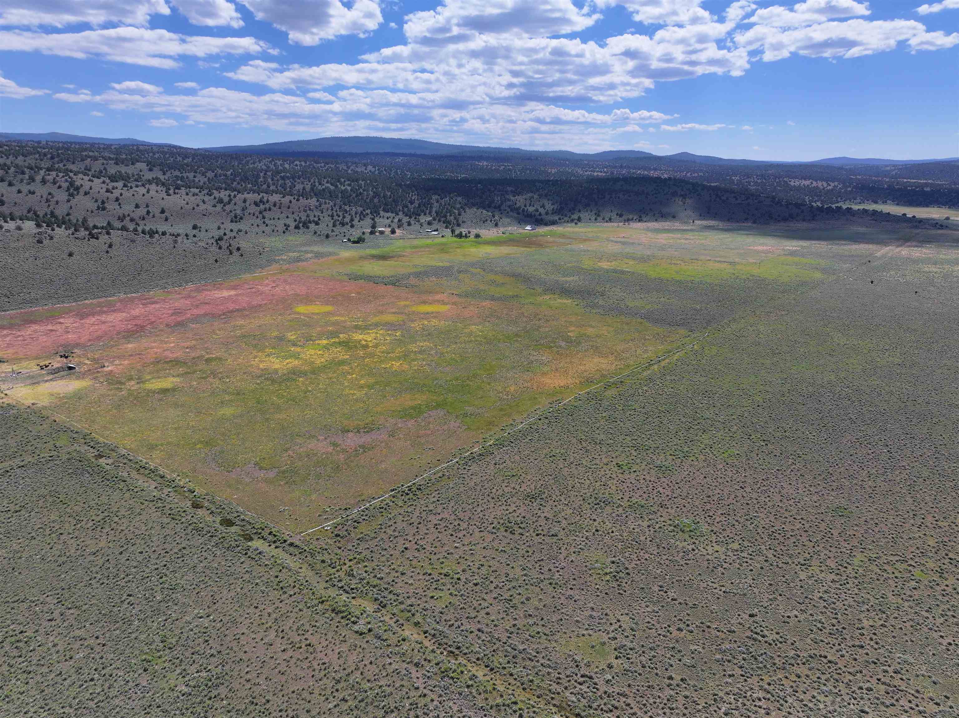 705 200 Highway 395, Termo, CA, 96132