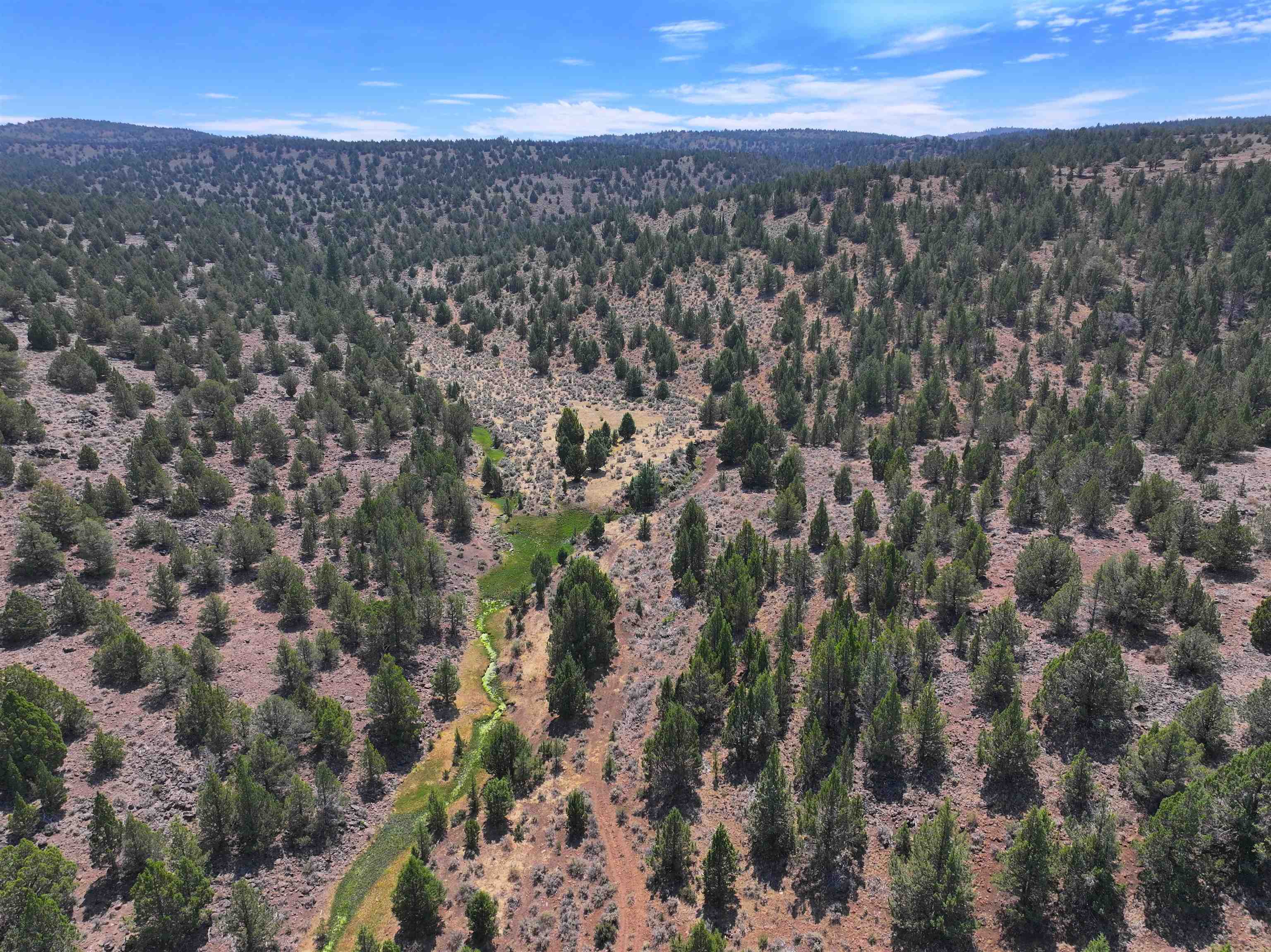 705 200 Highway 395, Termo, CA, 96132