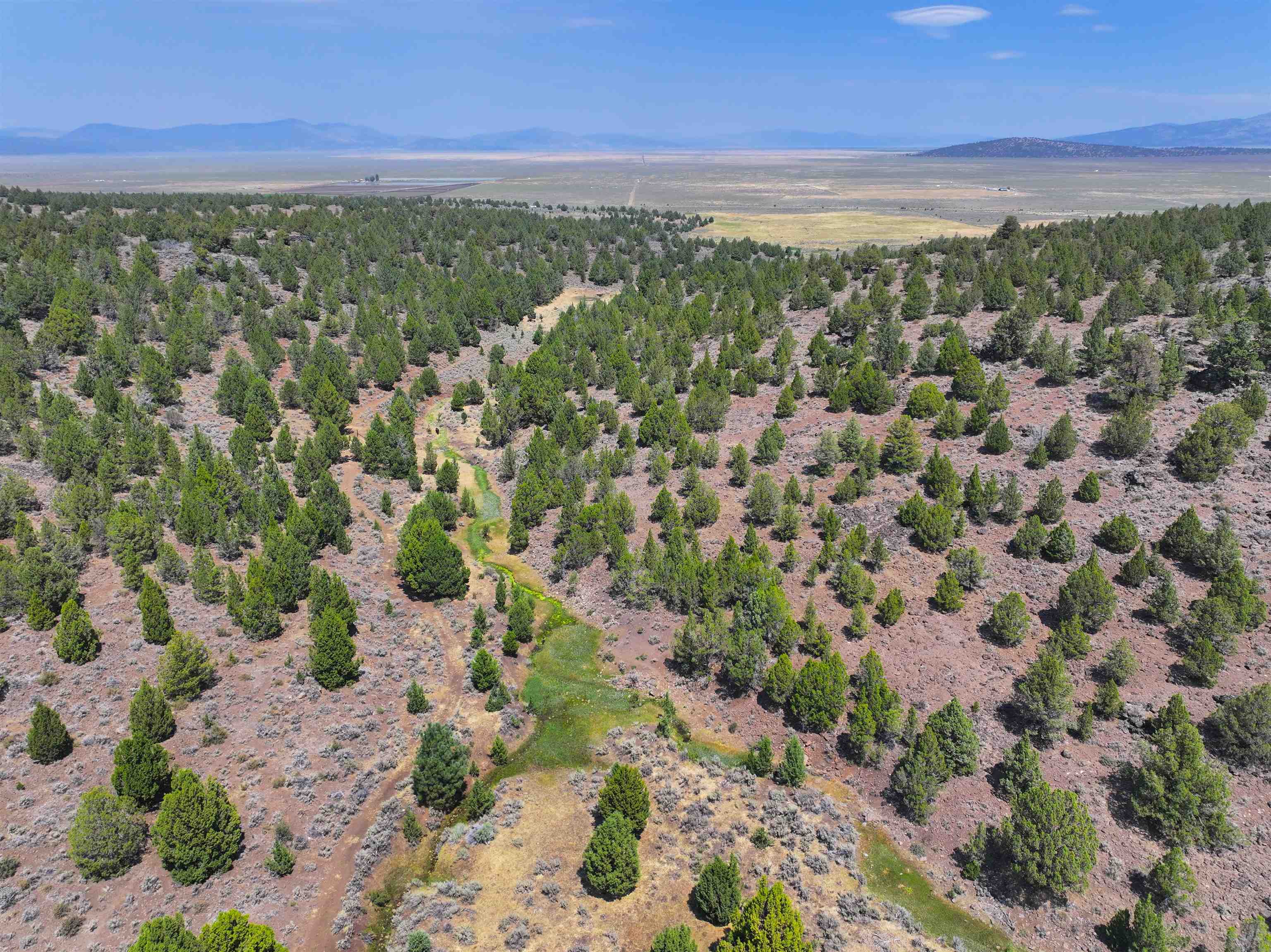 705 200 Highway 395, Termo, CA, 96132