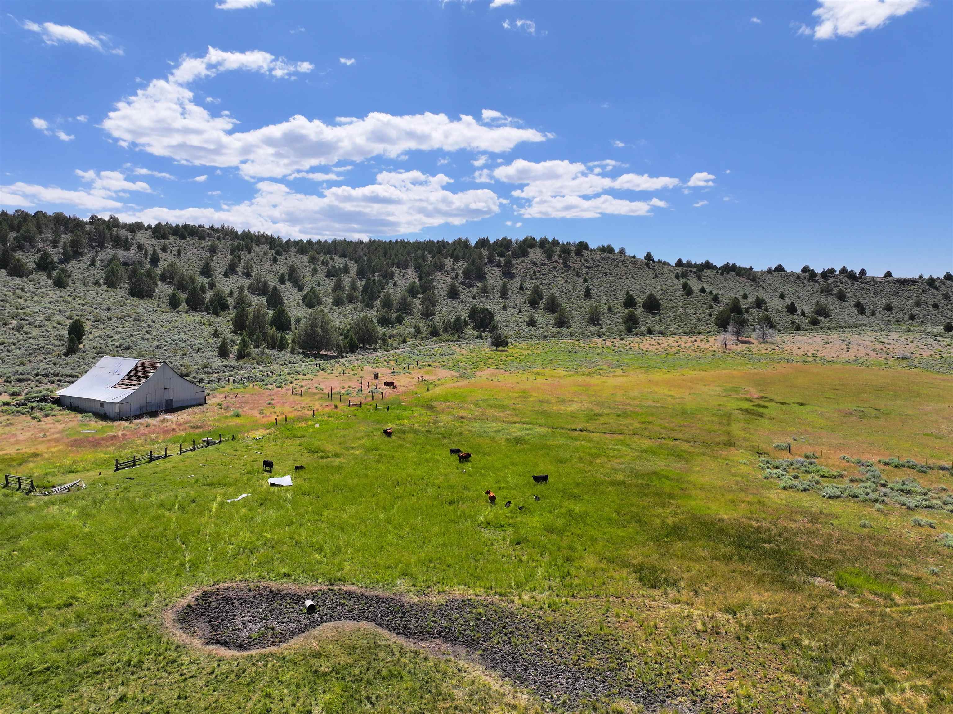 705 200 Highway 395, Termo, CA, 96132