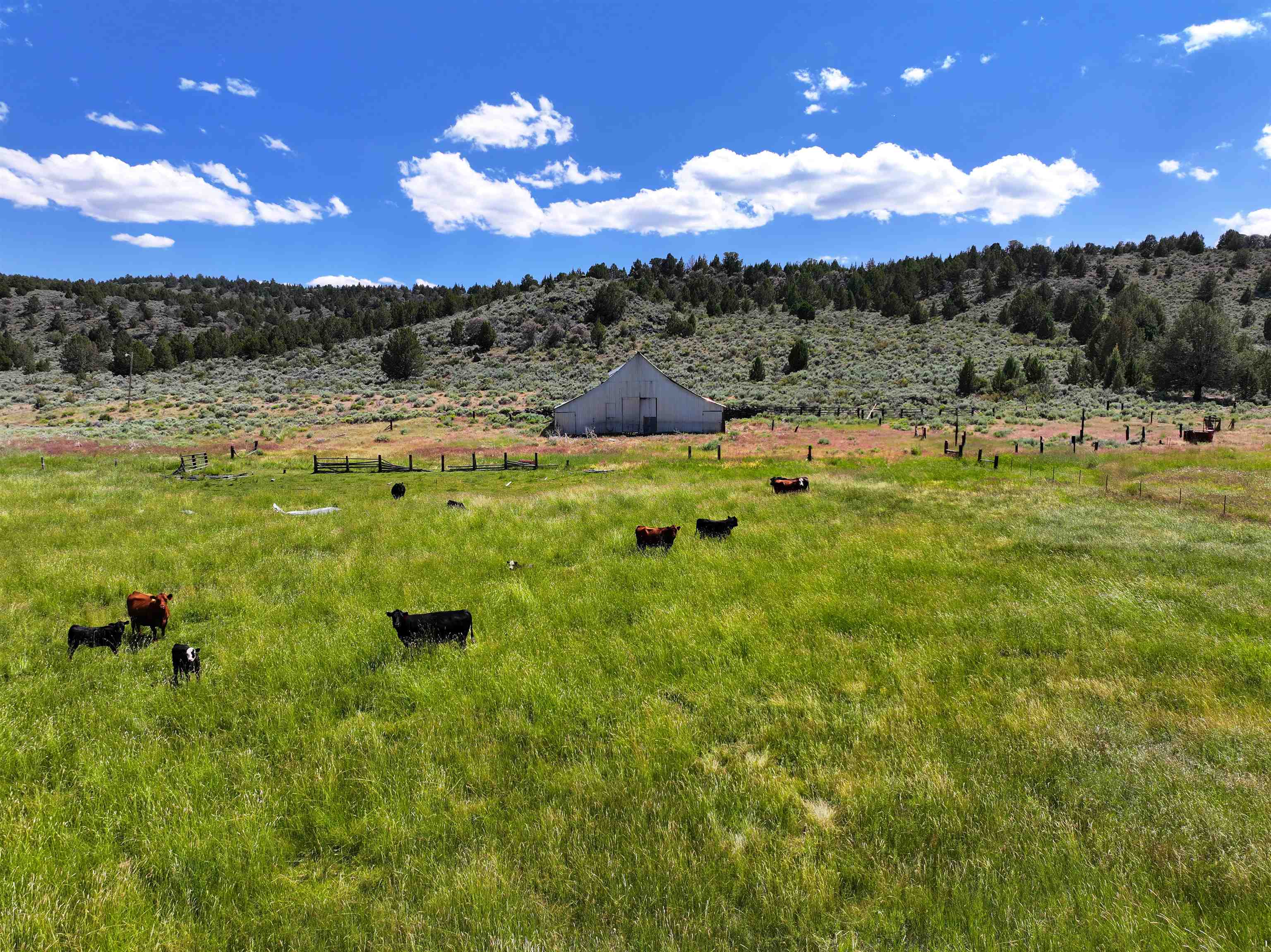 705 200 Highway 395, Termo, CA, 96132