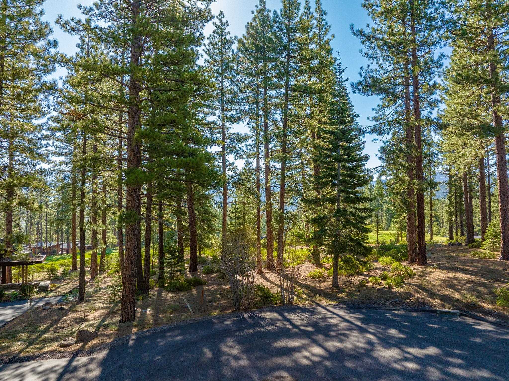 408 James McIver, Truckee, CA, 96161